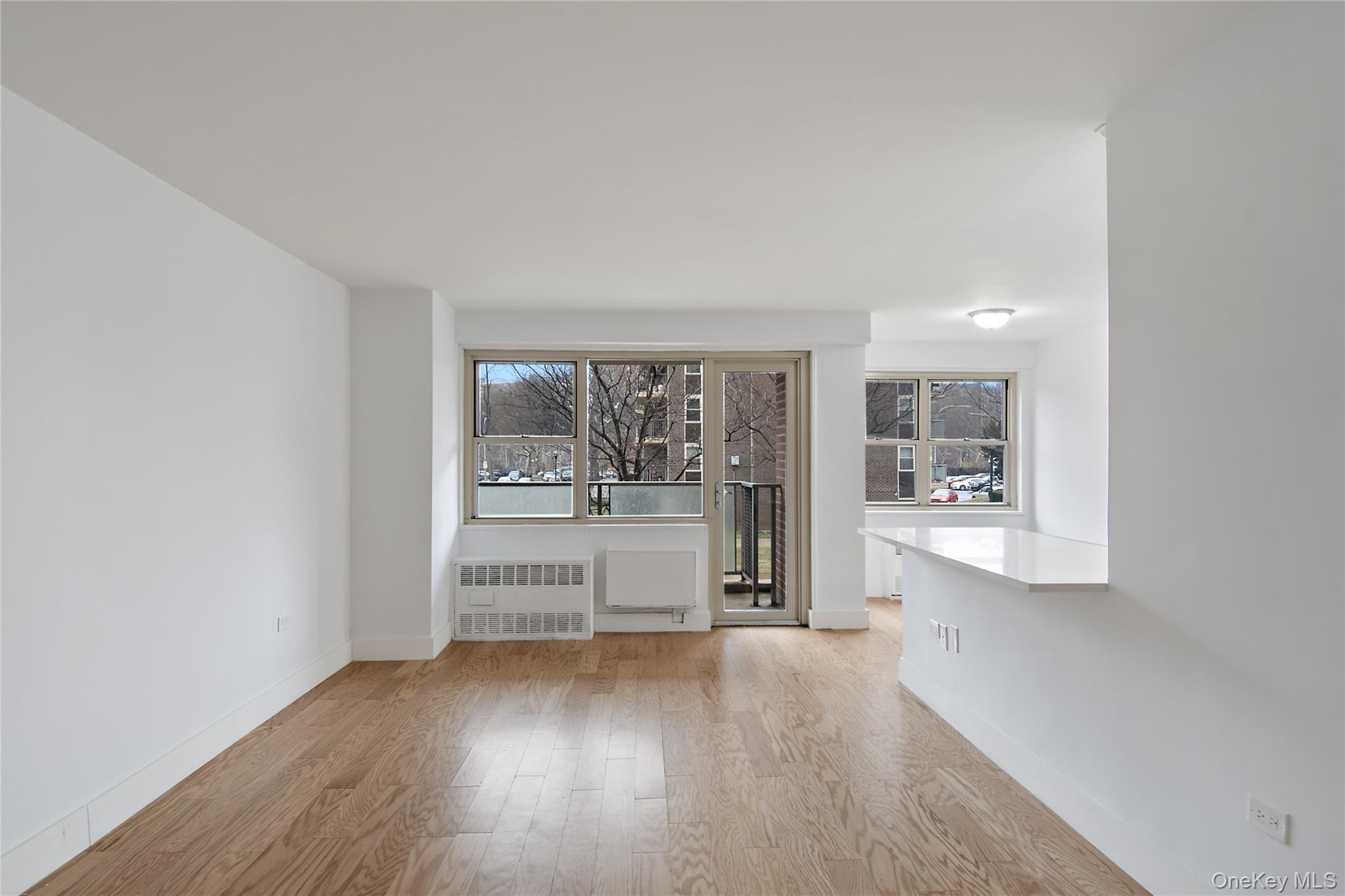 Condo Flatlands Brooklyn, NY 11207, MLS-961289-7