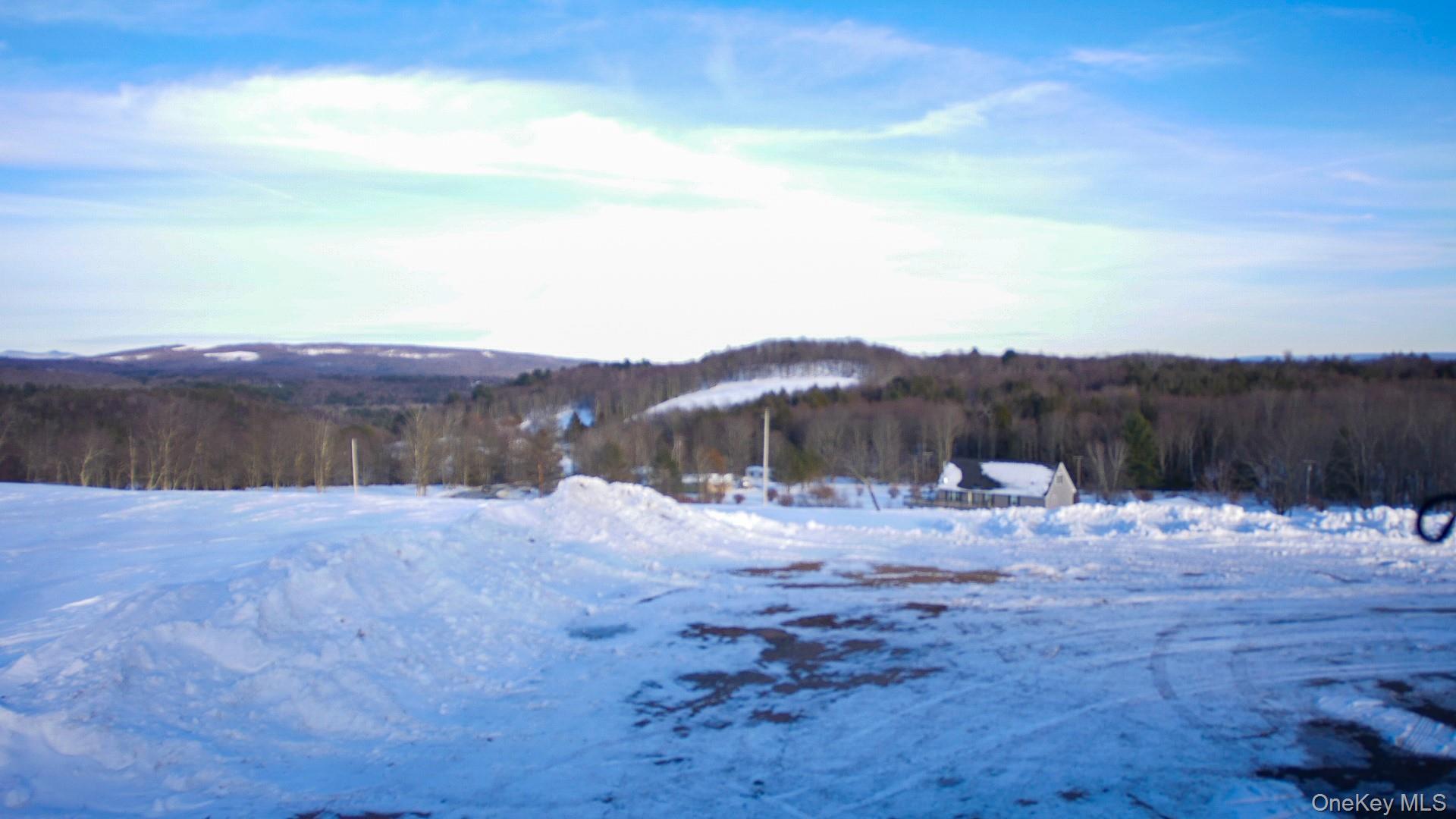 Single Family Rock View  Sullivan County, NY 12759, MLS-961337-23