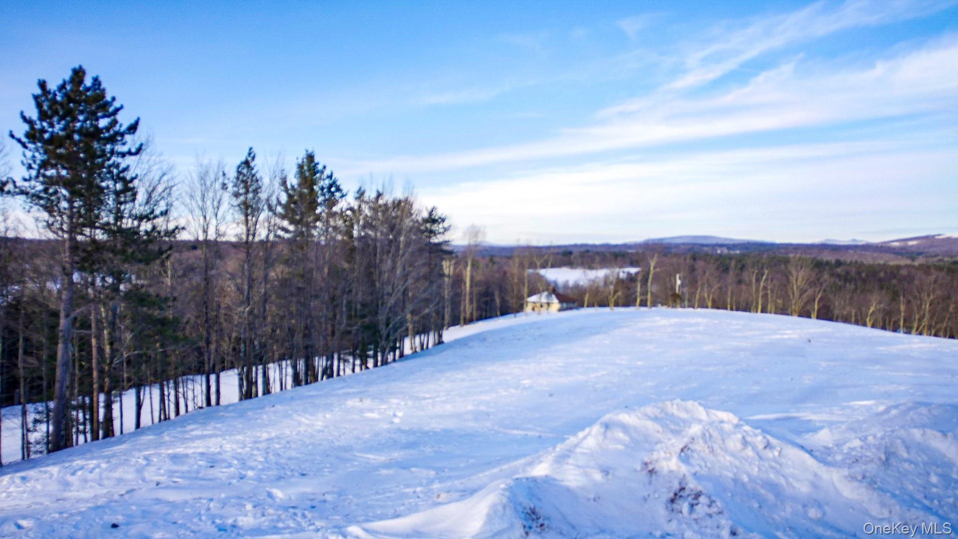 Single Family Rock View  Sullivan County, NY 12759, MLS-961337-24