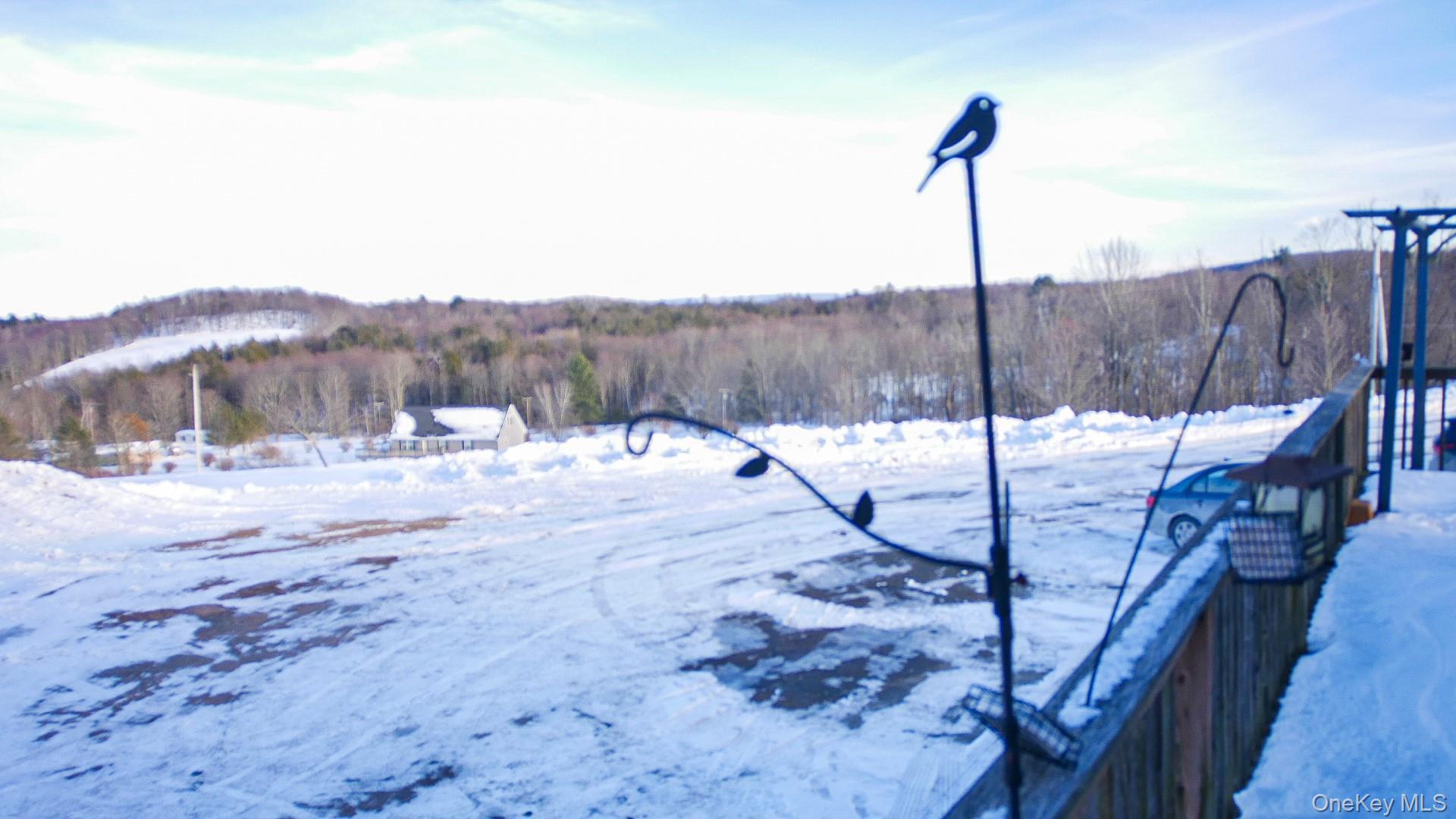 Single Family Rock View  Sullivan County, NY 12759, MLS-961337-25