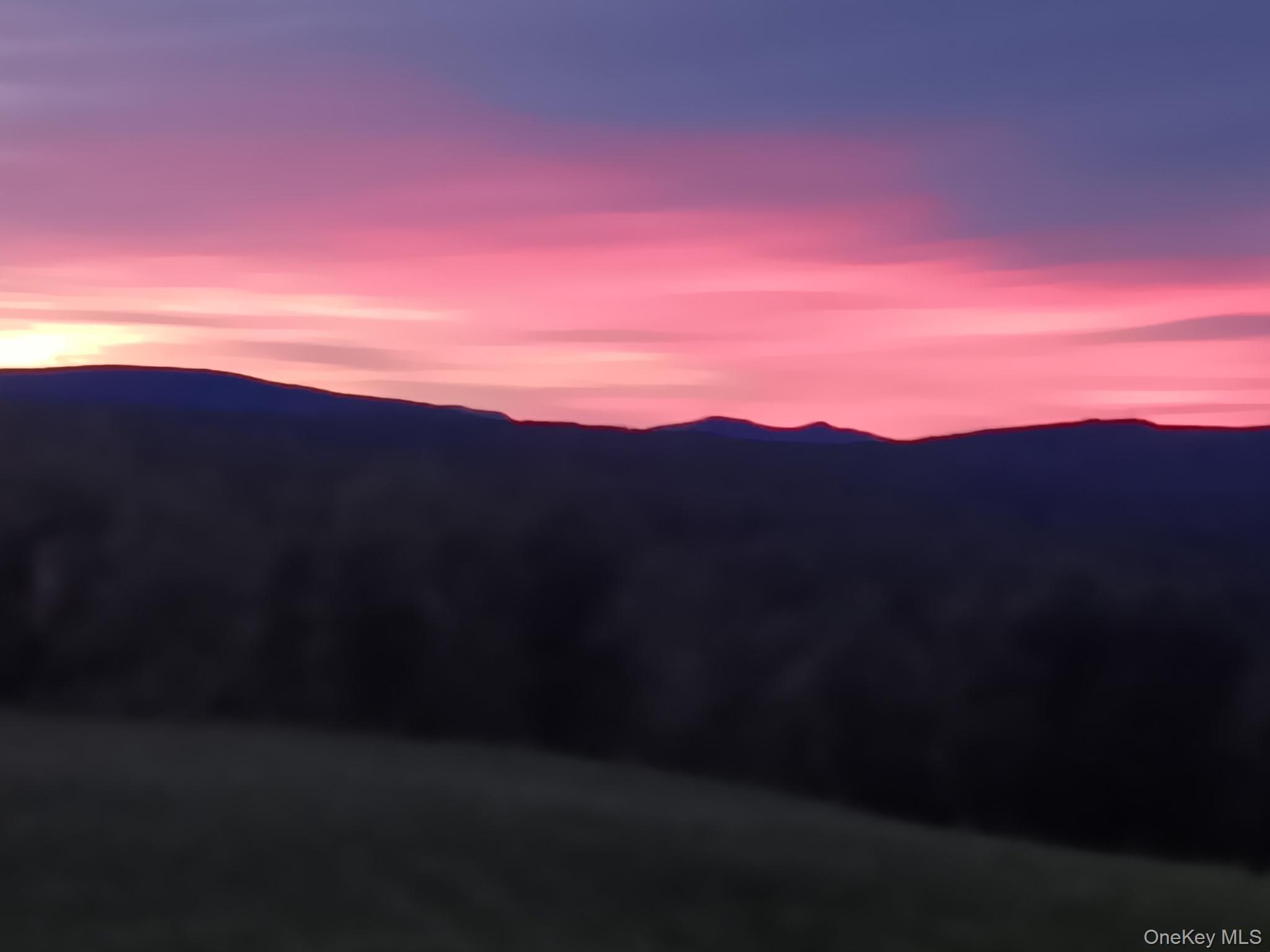 Single Family Rock View Lane  Sullivan County, NY 12759, MLS-961337-27