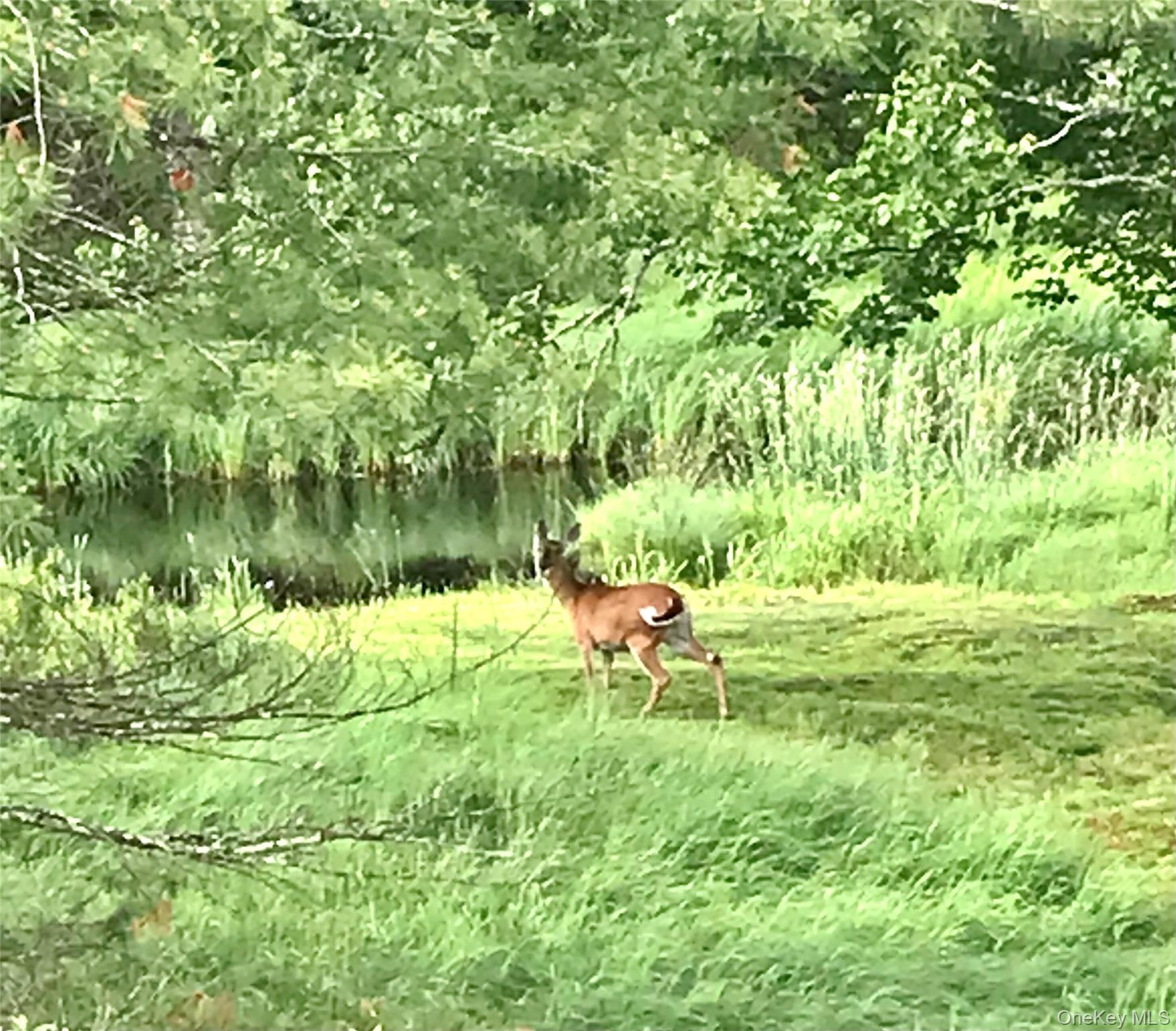 Single Family Valley  Sullivan County, NY 12777, MLS-961344-5