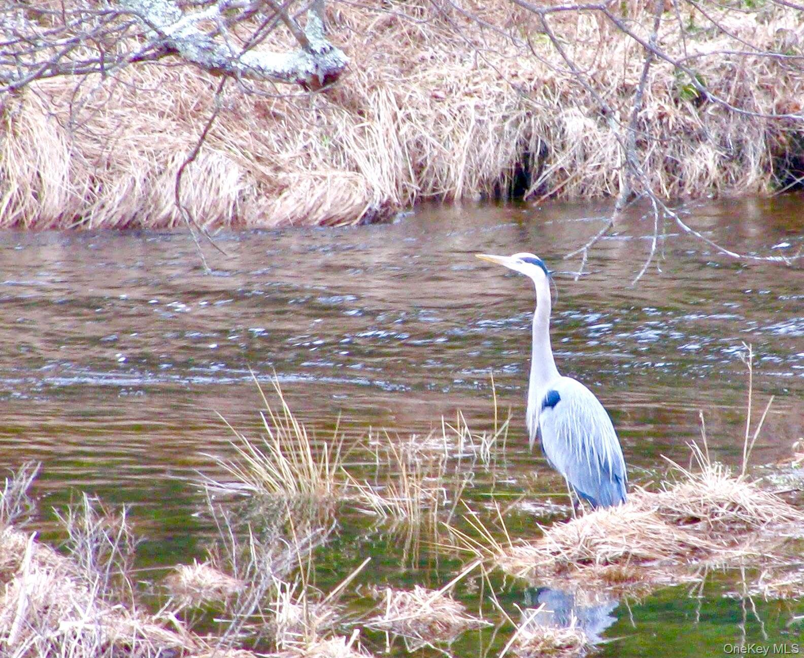 Single Family Valley  Sullivan County, NY 12777, MLS-961344-6