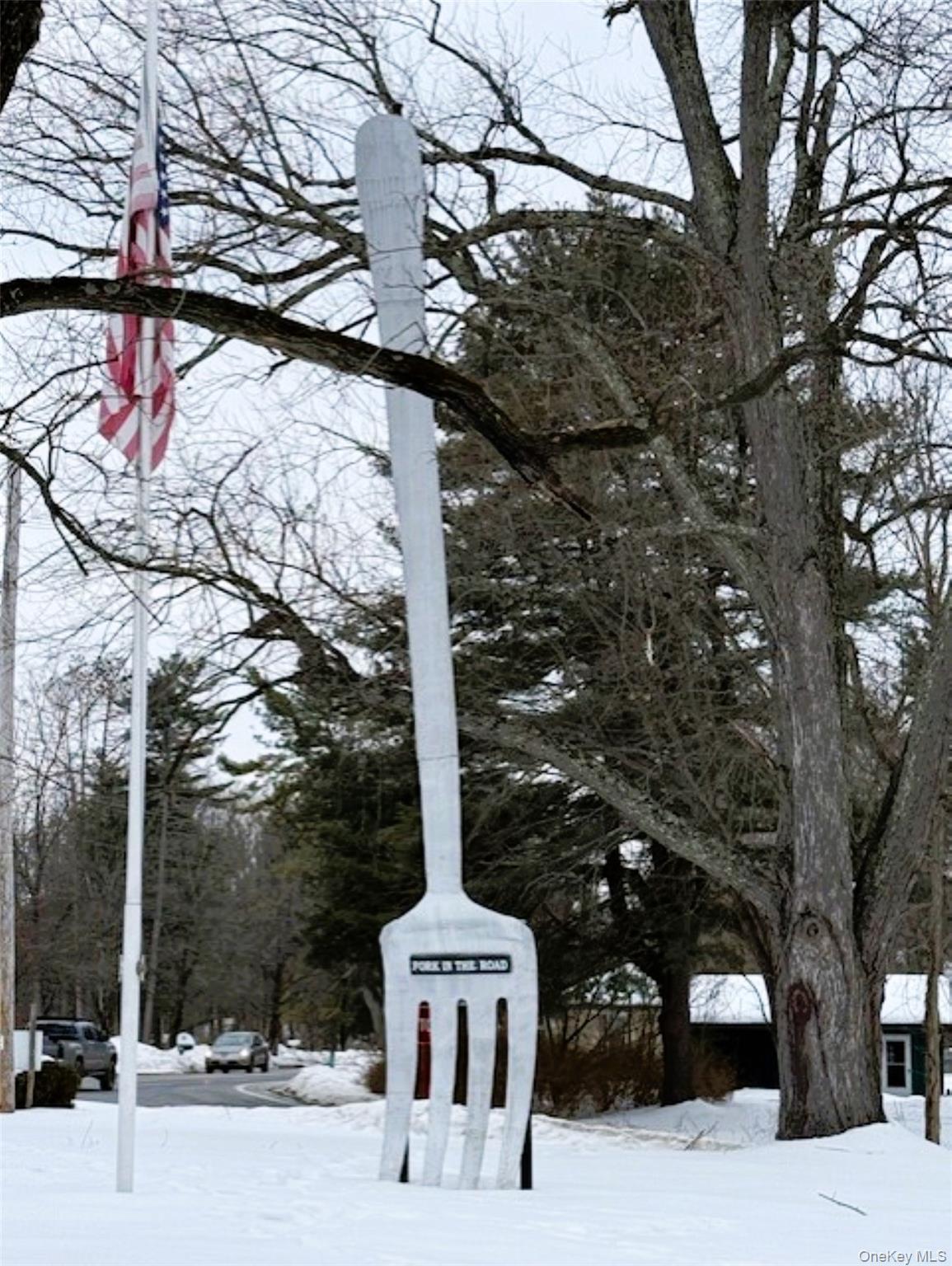 Single Family Phillips  Dutchess County, NY 12571, MLS-961502-27