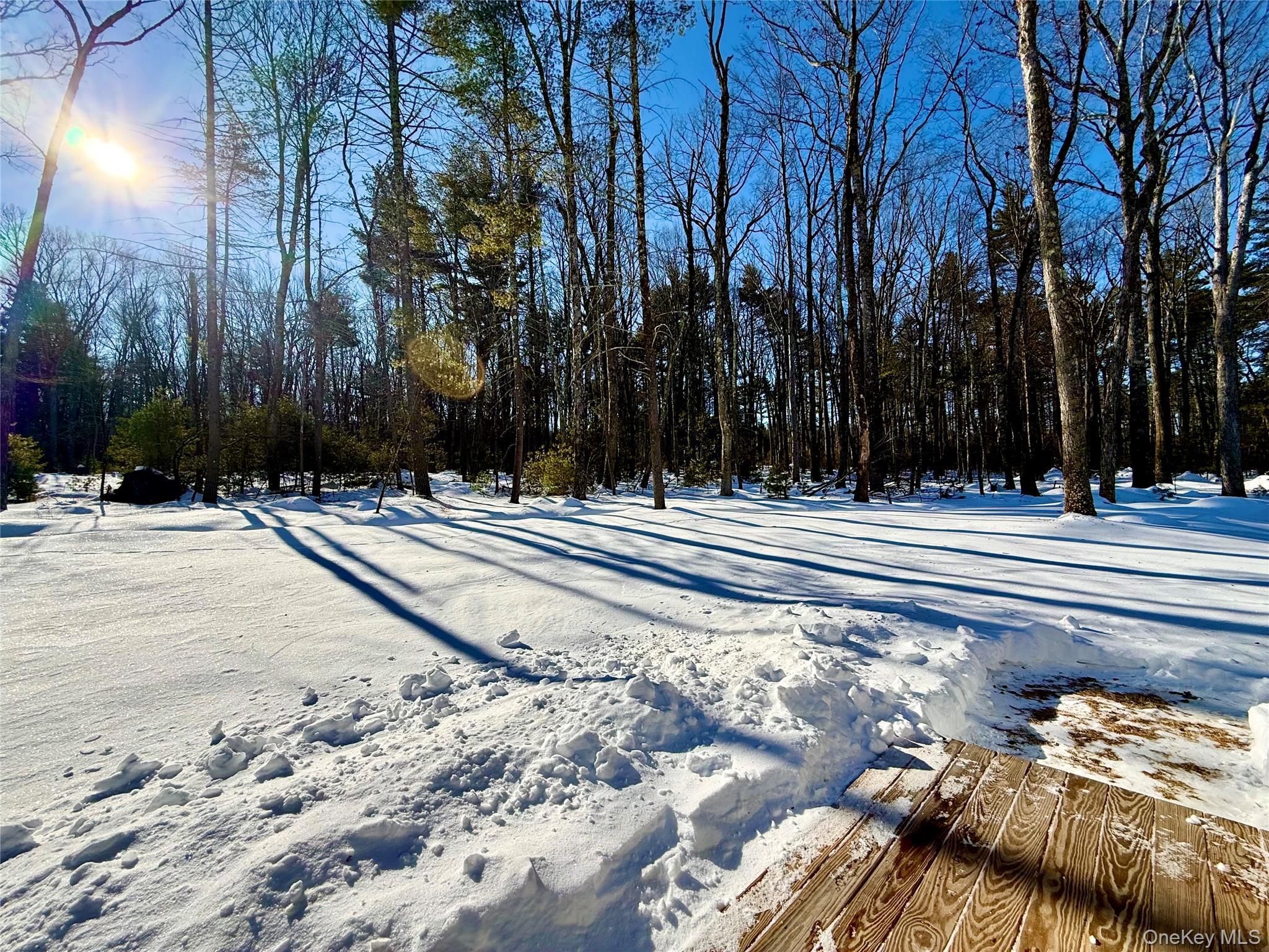 Single Family Leers  Sullivan County, NY 12737, MLS-961536-14