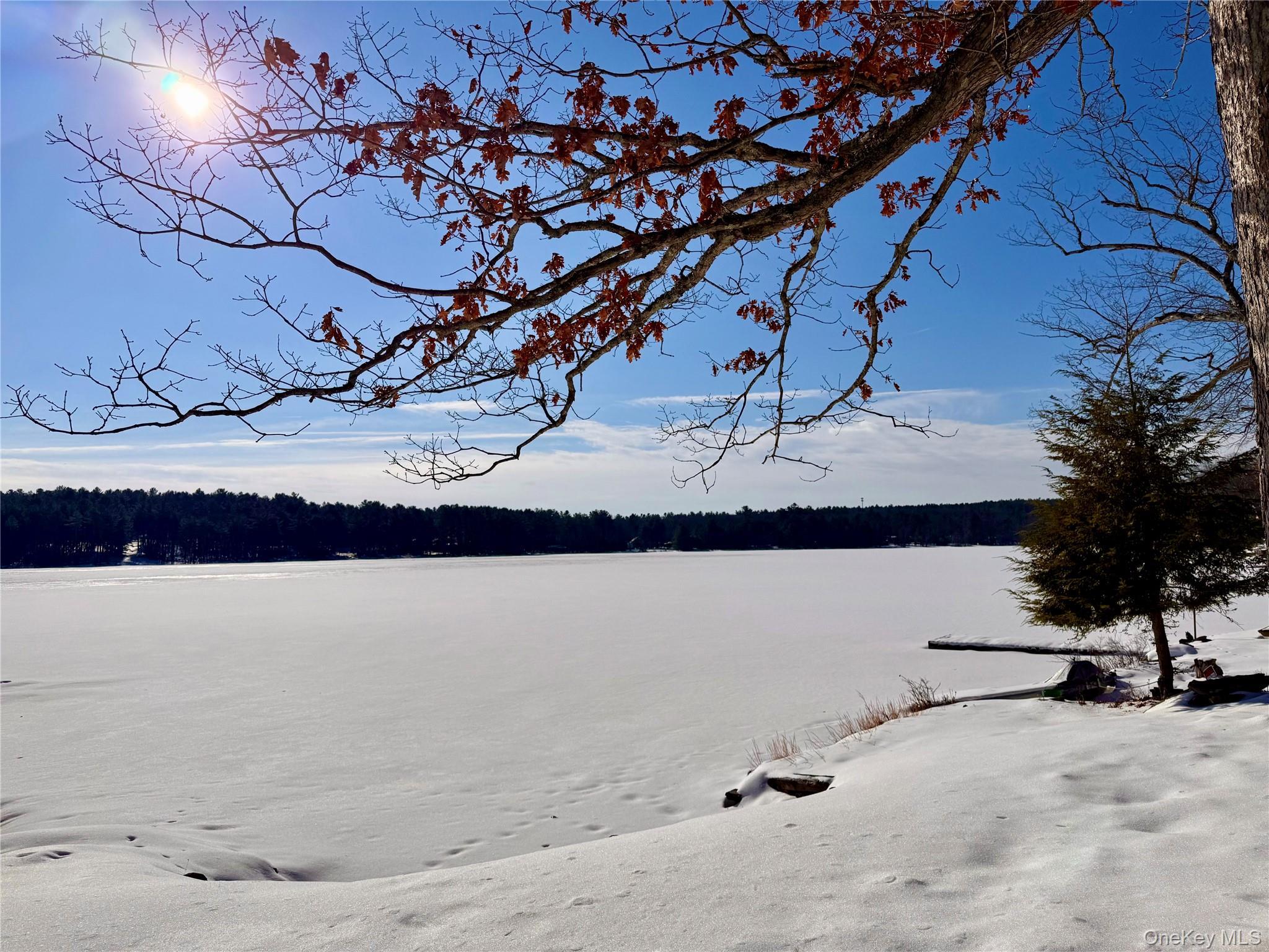 Single Family Leers  Sullivan County, NY 12737, MLS-961536-2