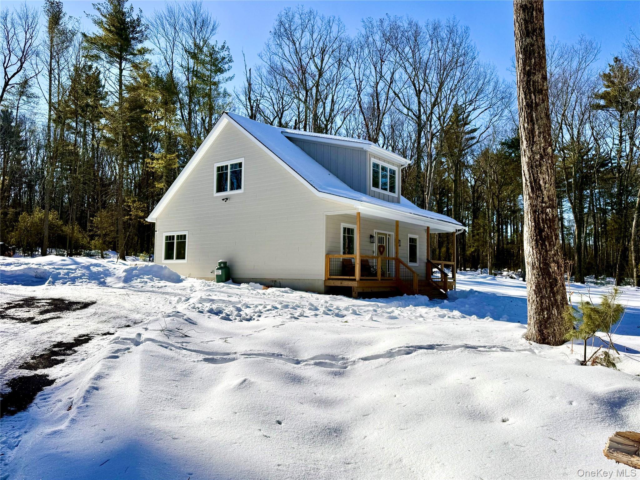 Single Family Leers  Sullivan County, NY 12737, MLS-961536-6