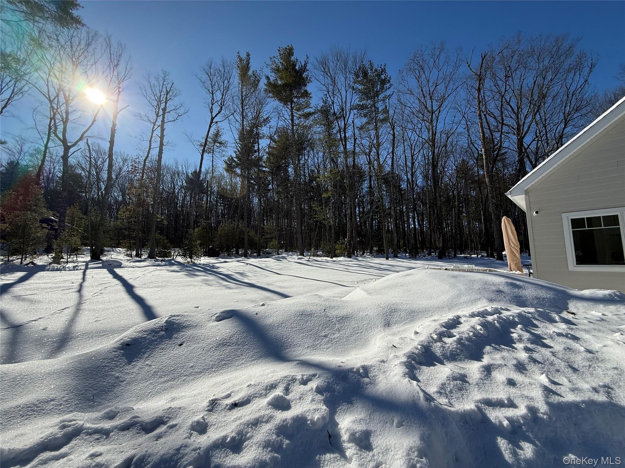 Single Family Leers  Sullivan County, NY 12737, MLS-961536-7