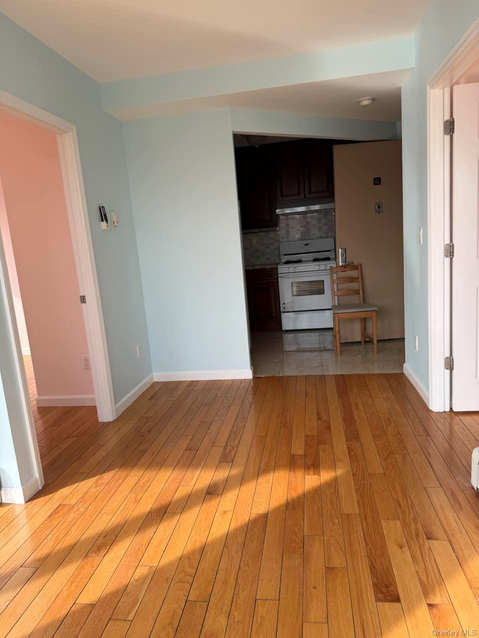 Condo Latimer  Queens, NY 11354, MLS-961561-7