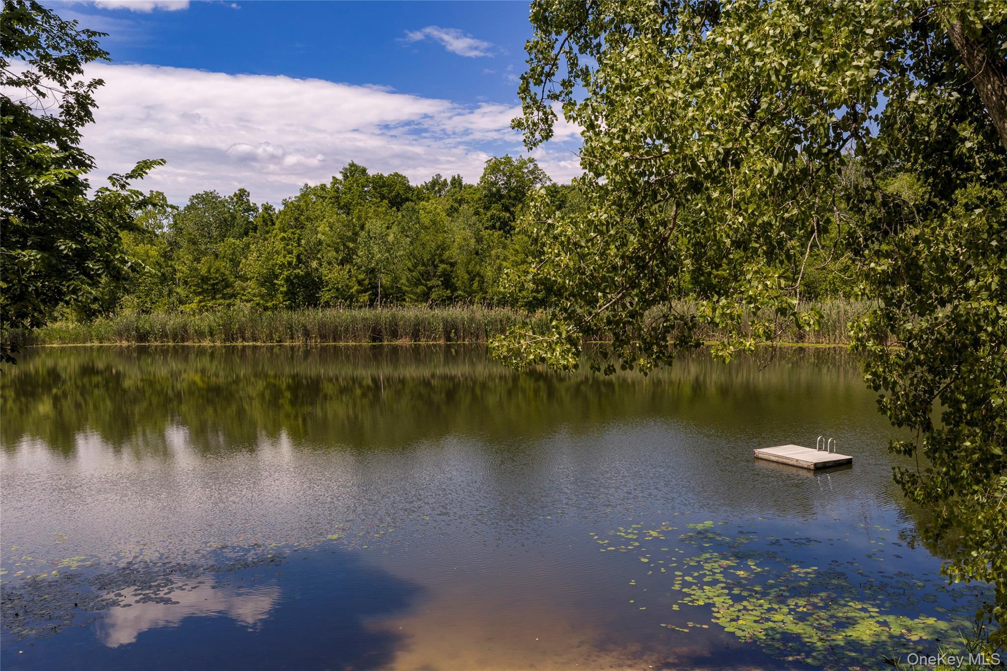 Single Family Fern Hill Road  Columbia County, NY 12075, MLS-961602-4