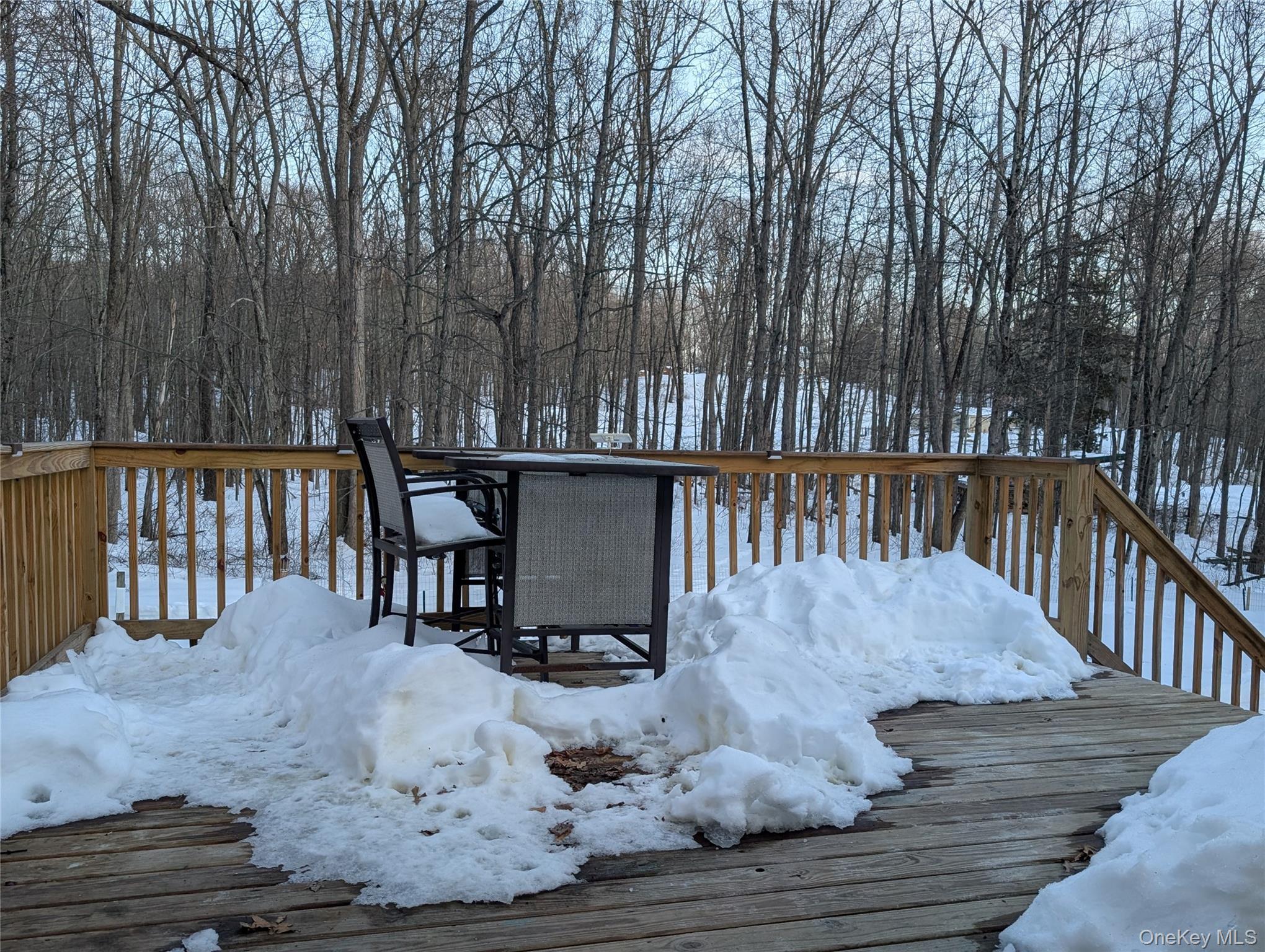 Single Family State Route 208  Ulster County, NY 12589, MLS-961641-33