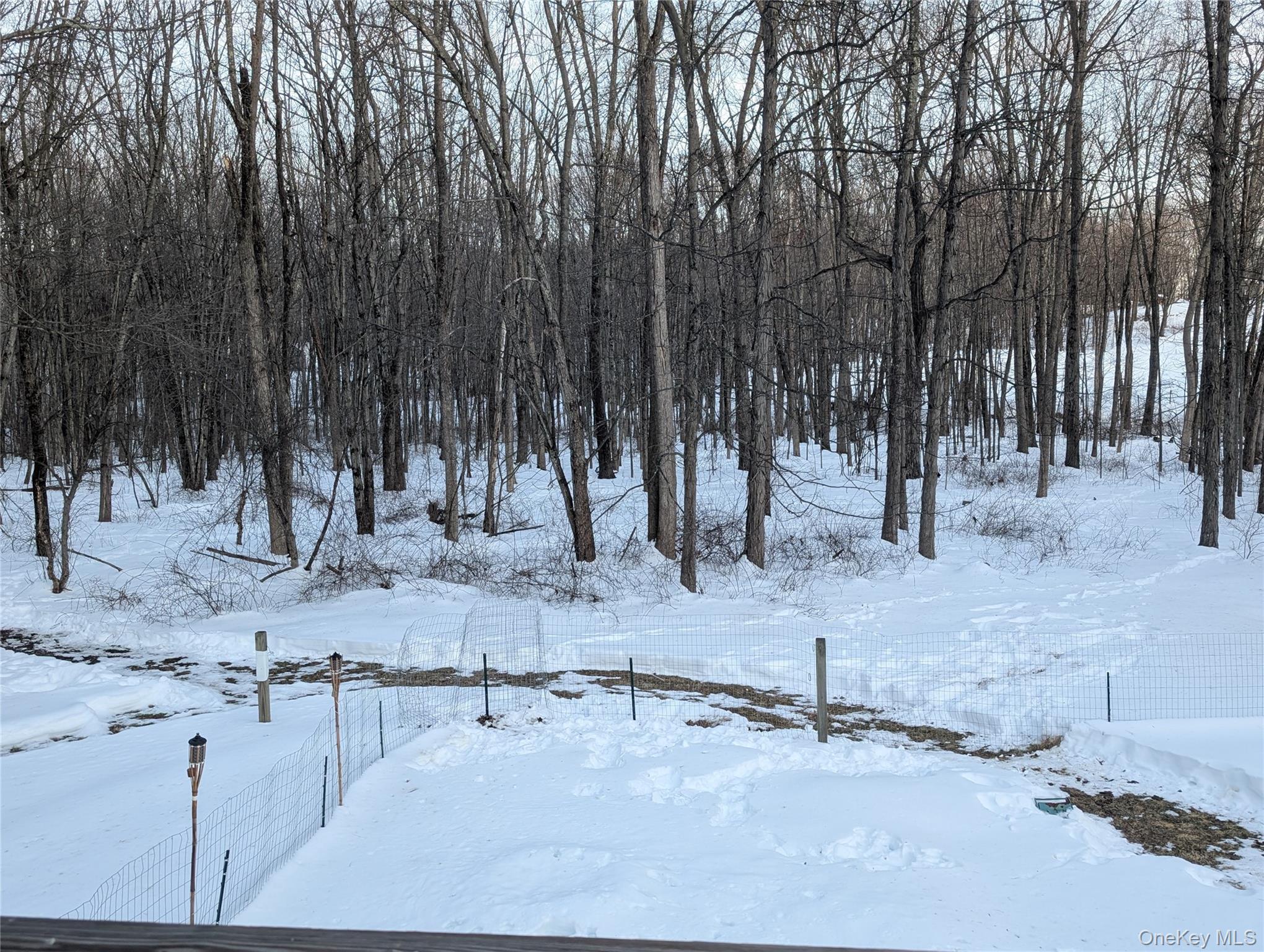 Single Family State Route 208  Ulster County, NY 12589, MLS-961641-38