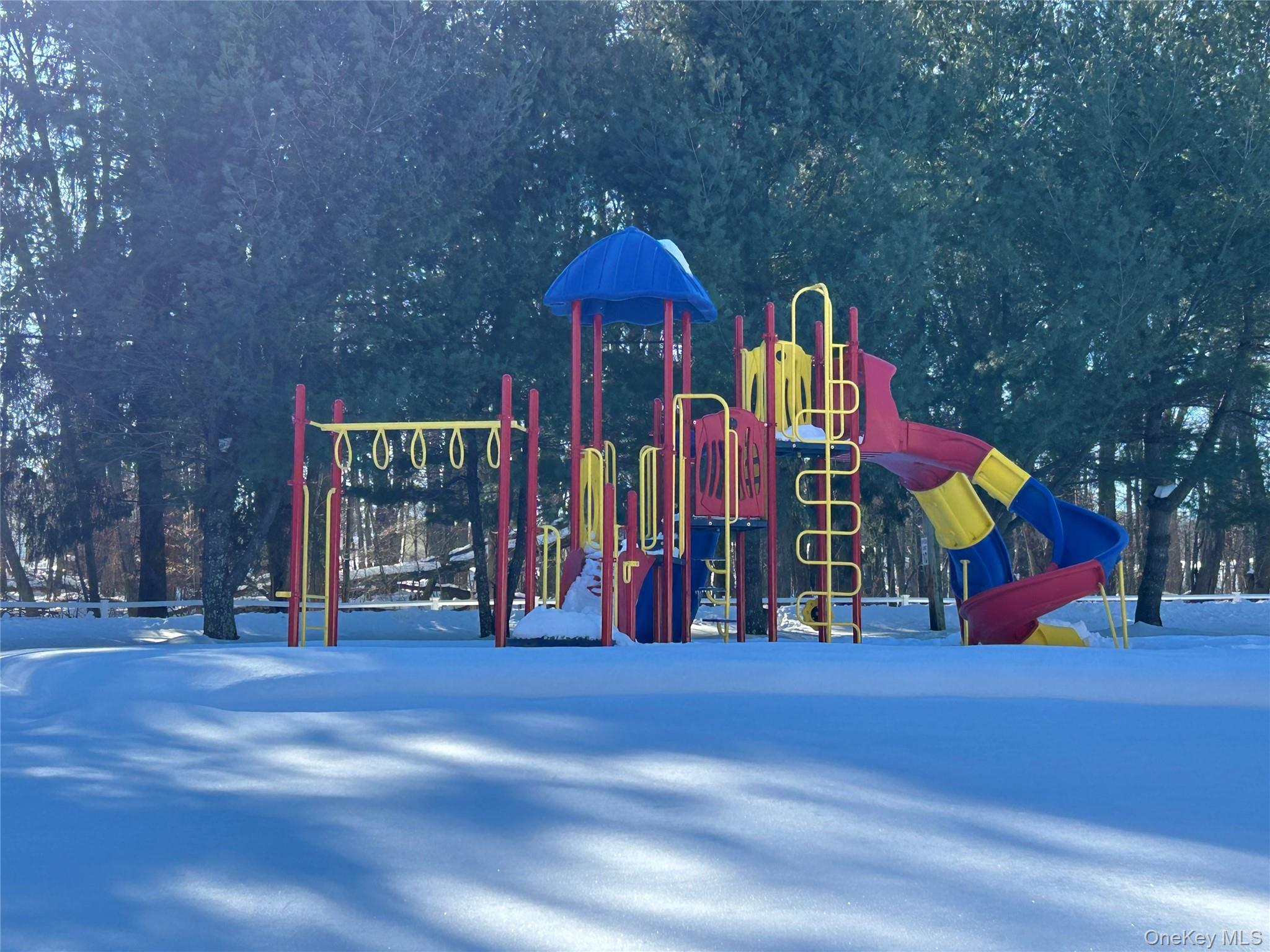 Single Family Dogwood  Sullivan County, NY 12721, MLS-961750-28