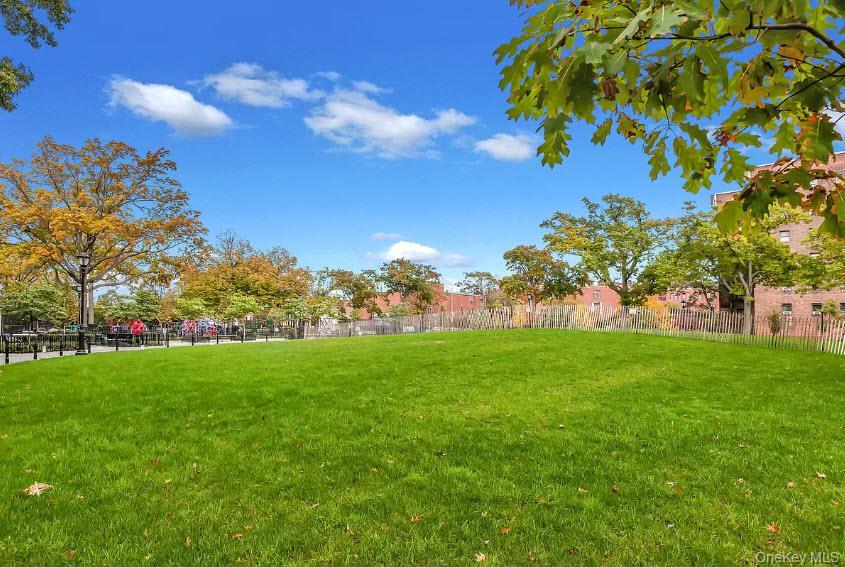 Coop 75 Queens, NY 11372, MLS-961814-29