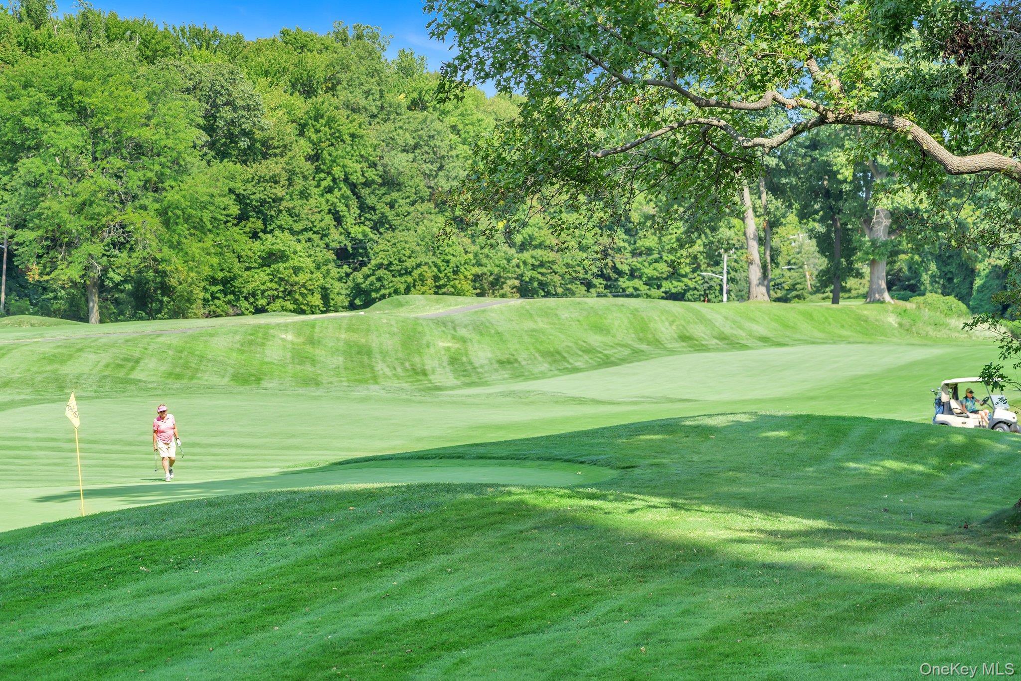 Coop Grand Central Queens, NY 11005, MLS-961821-35