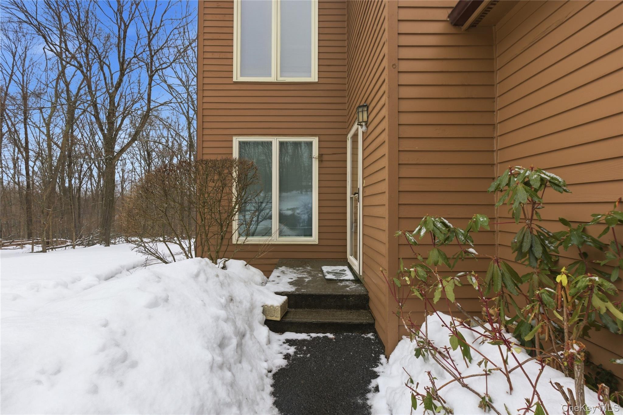 Condo Beechwood  Westchester County, NY 10598, MLS-961827-4