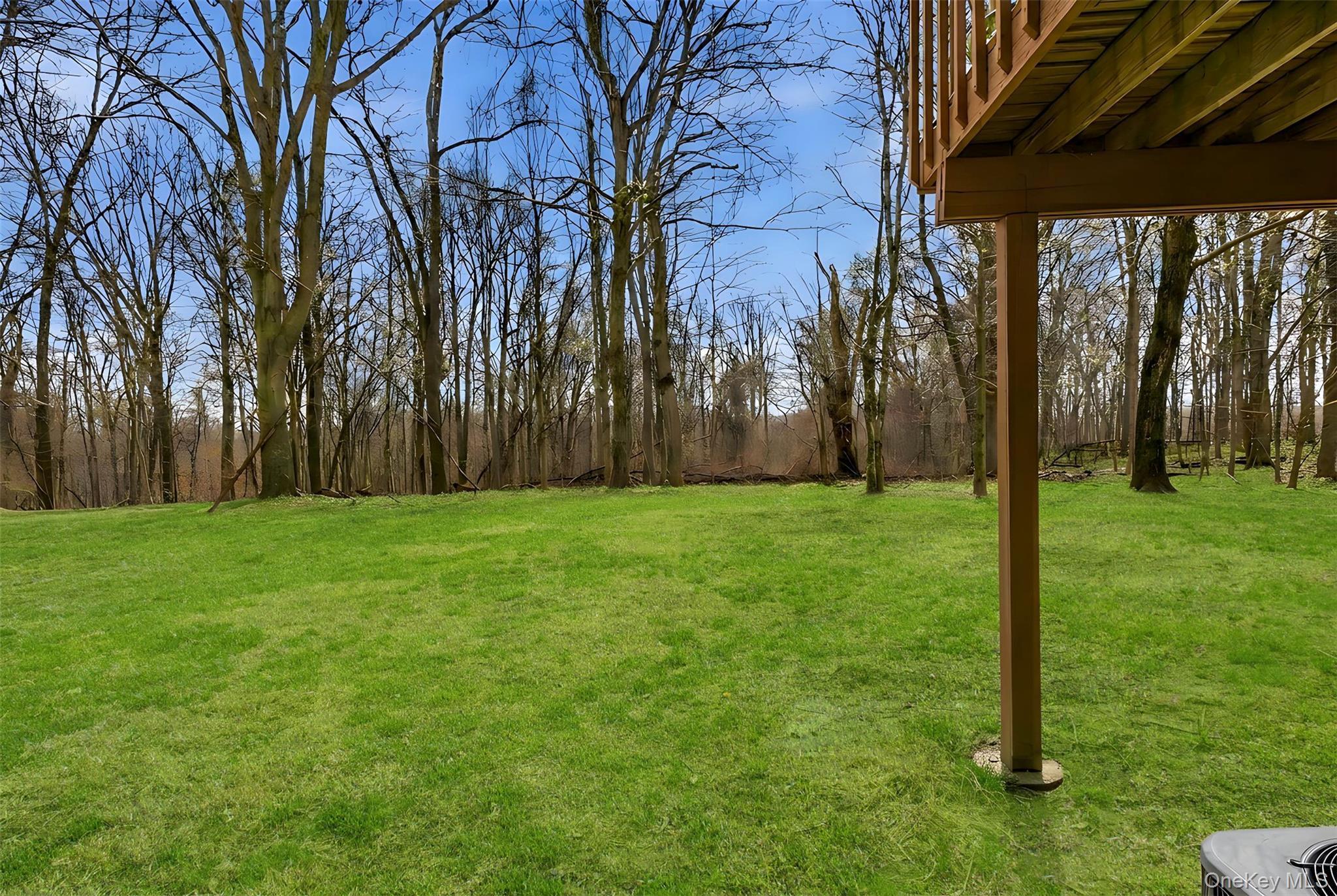 Condo Beechwood  Westchester County, NY 10598, MLS-961827-41