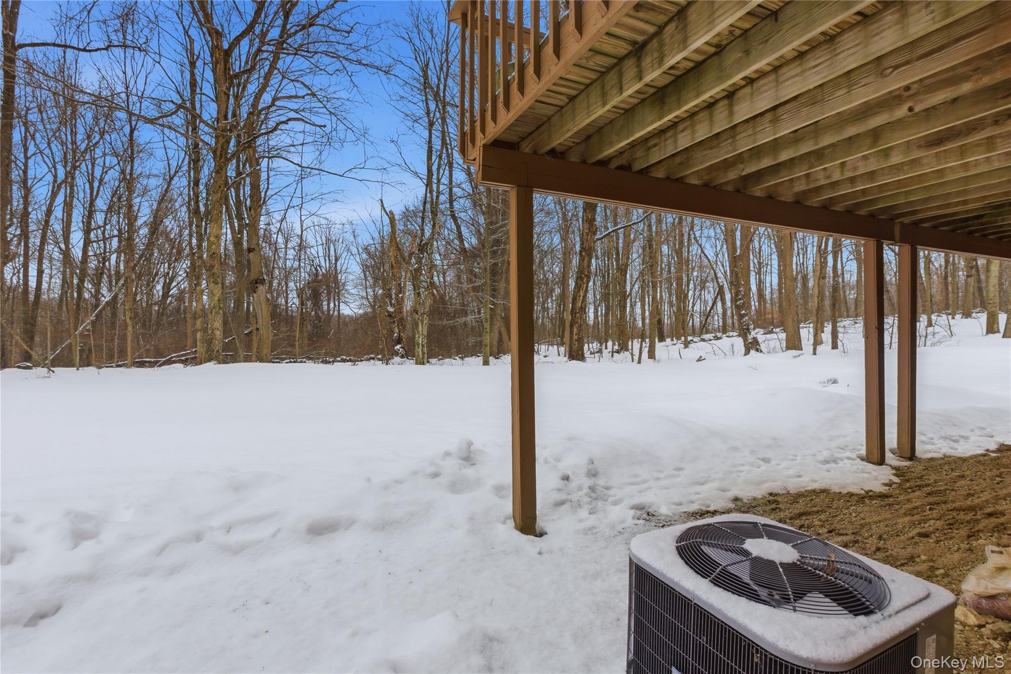 Condo Beechwood  Westchester County, NY 10598, MLS-961827-42