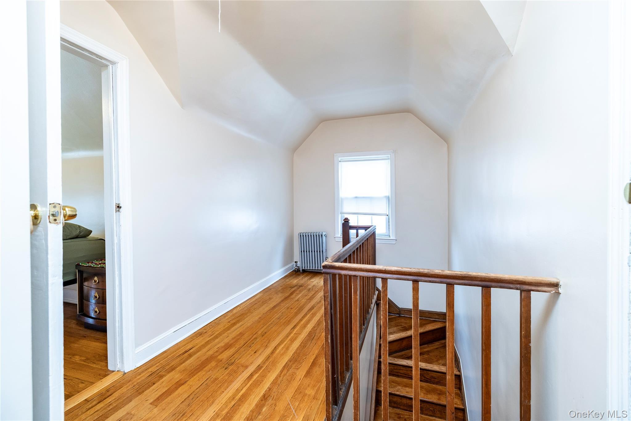 Single Family 141st Queens, NY 11436, MLS-961851-23