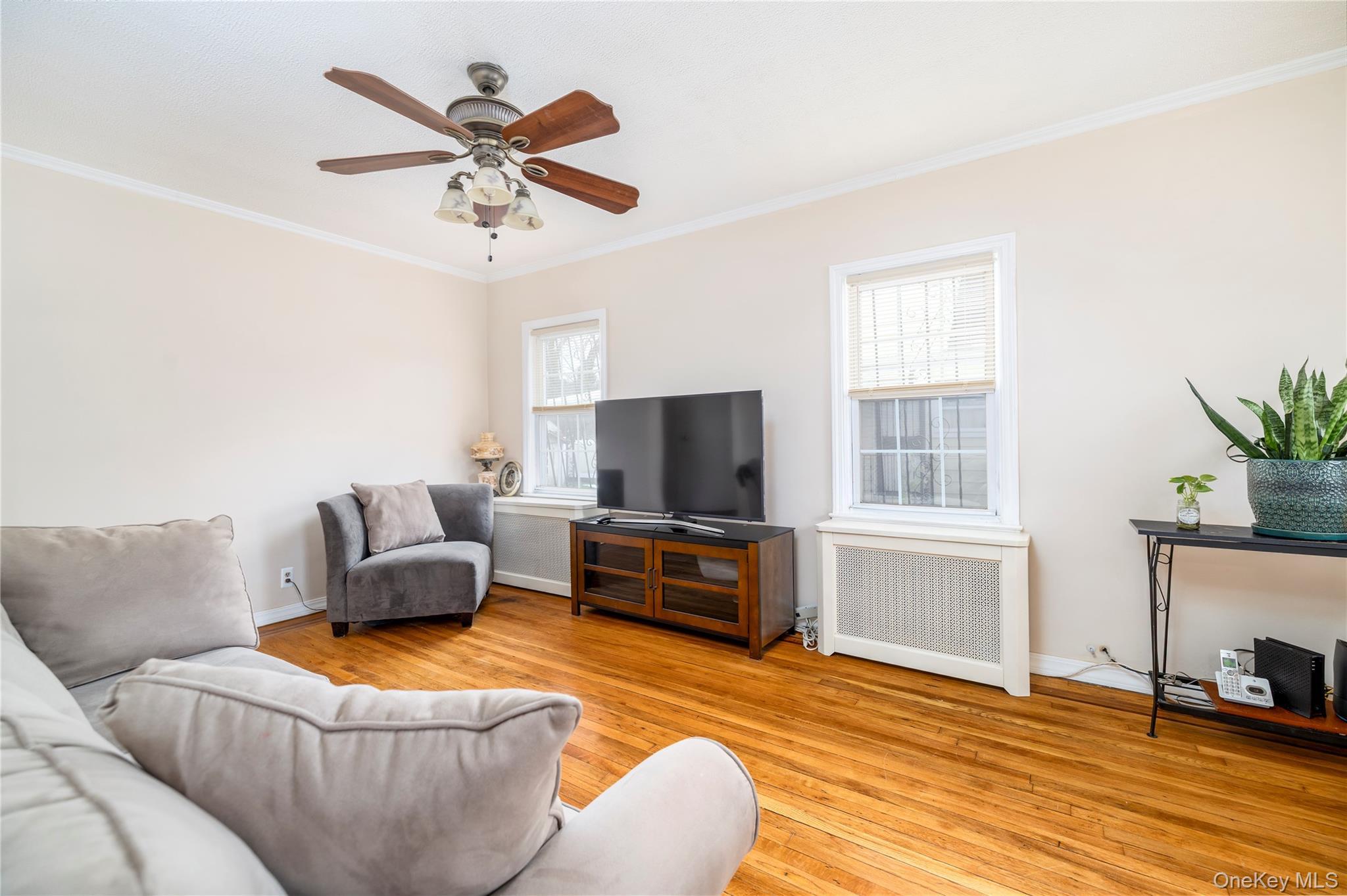 Single Family 141st Queens, NY 11436, MLS-961851-6