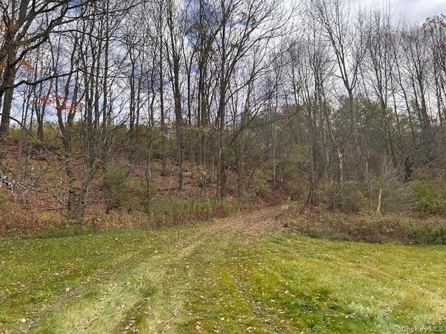 Single Family County Highway 37  Out Of Area, NY 12197, MLS-961922-17