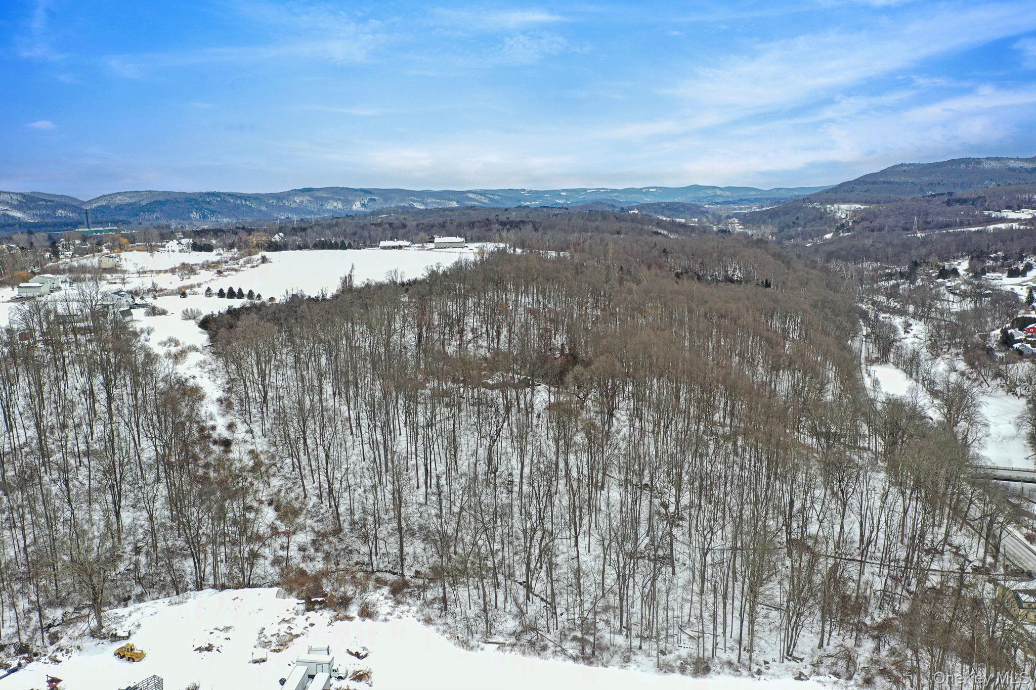 Single Family Old State Route 22  Dutchess County, NY 12522, MLS-961979-4