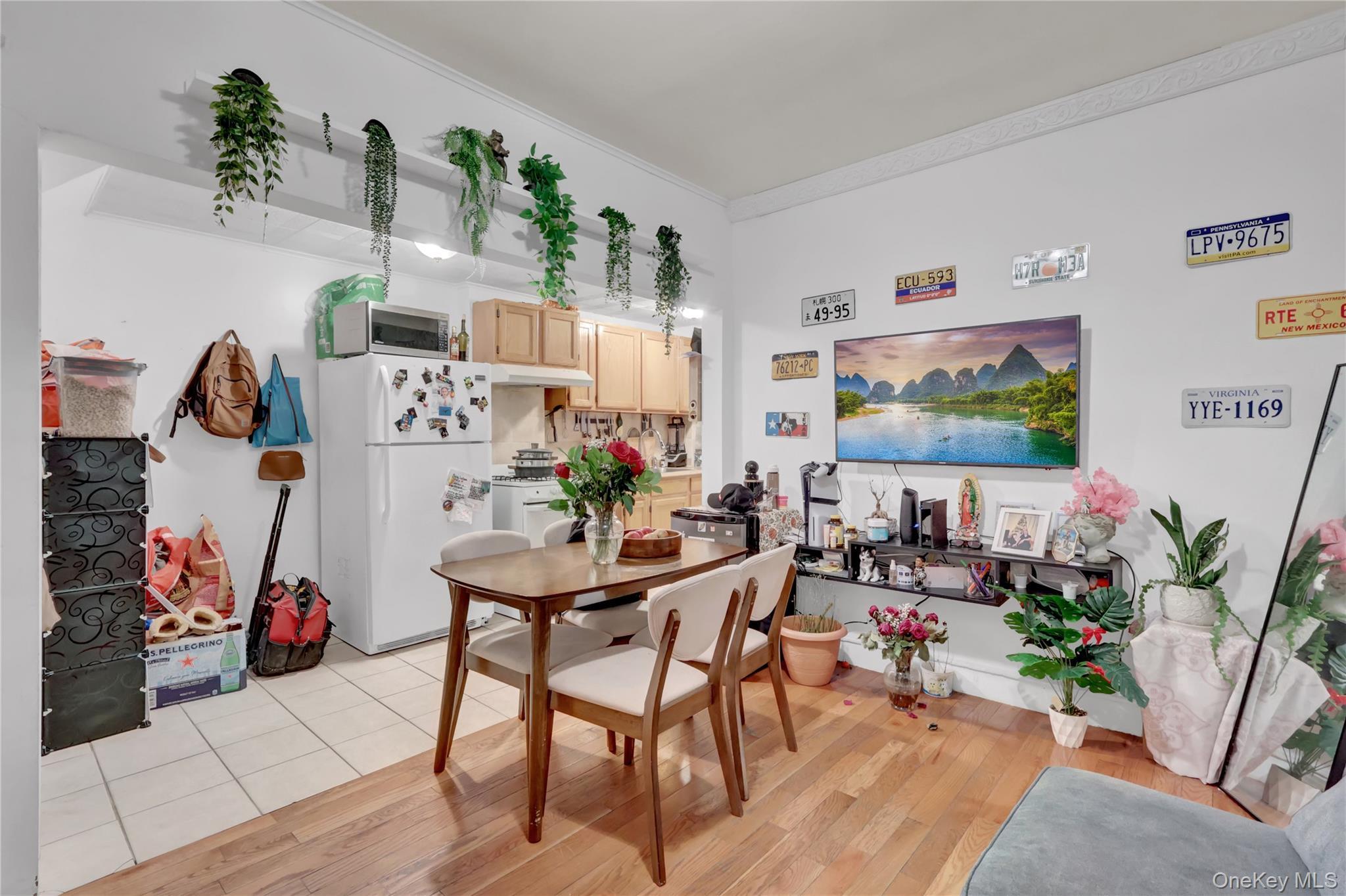 Single Family 88th  Queens, NY 11421, MLS-962007-7