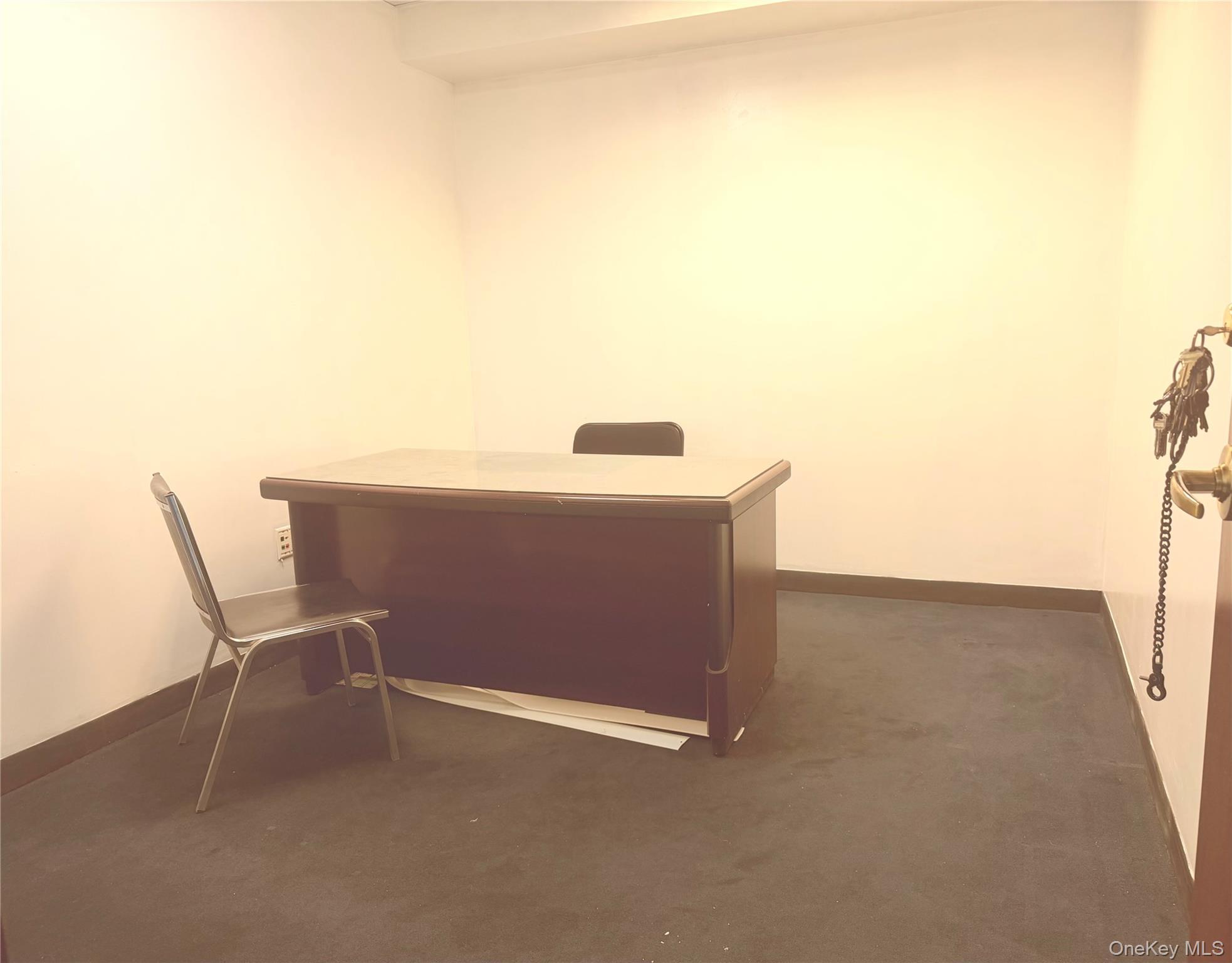 Commercial Lease Main  Queens, NY 11354, MLS-962043-3