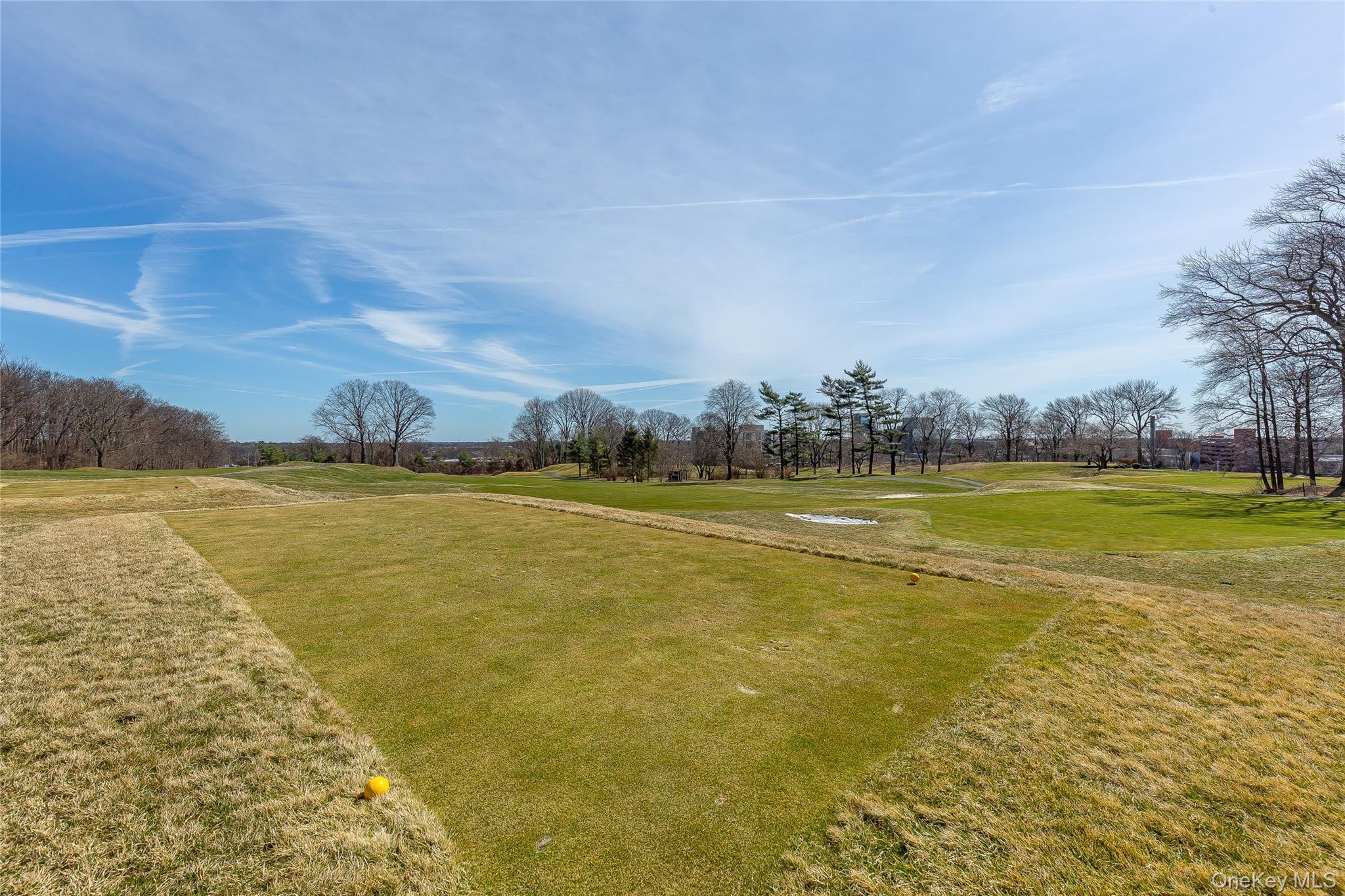 Coop Grand Central  Queens, NY 11005, MLS-962236-30