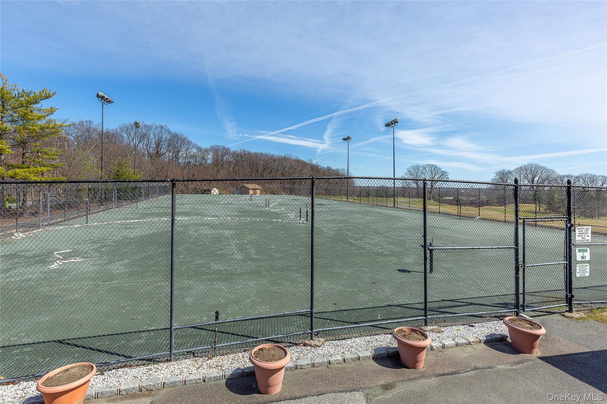 Coop Grand Central  Queens, NY 11005, MLS-962236-31