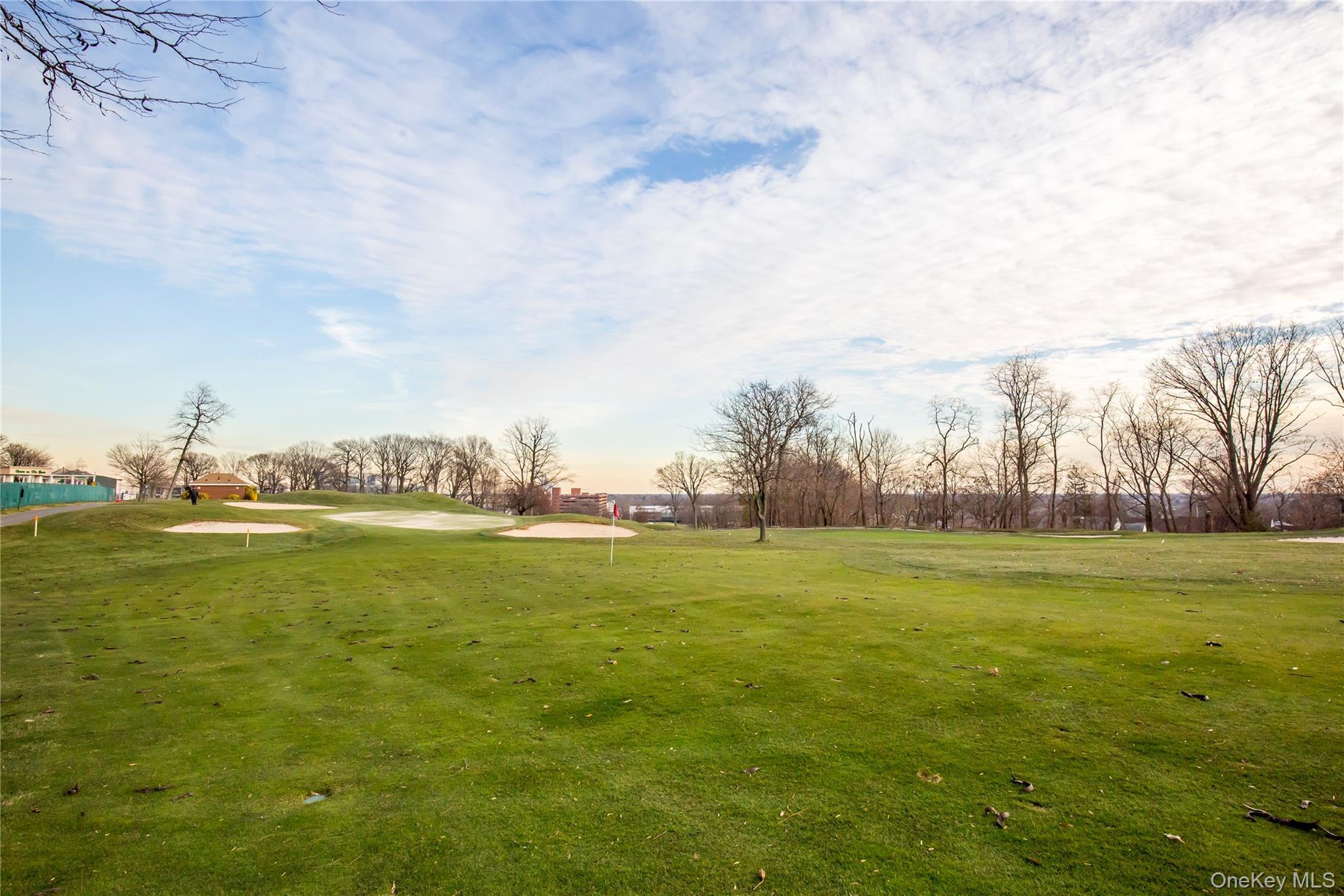 Coop Grand Central  Queens, NY 11005, MLS-962236-41