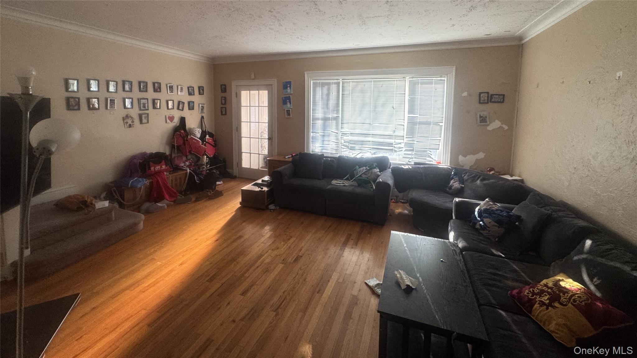 Single Family 82nd  Queens, NY 11379, MLS-962422-2