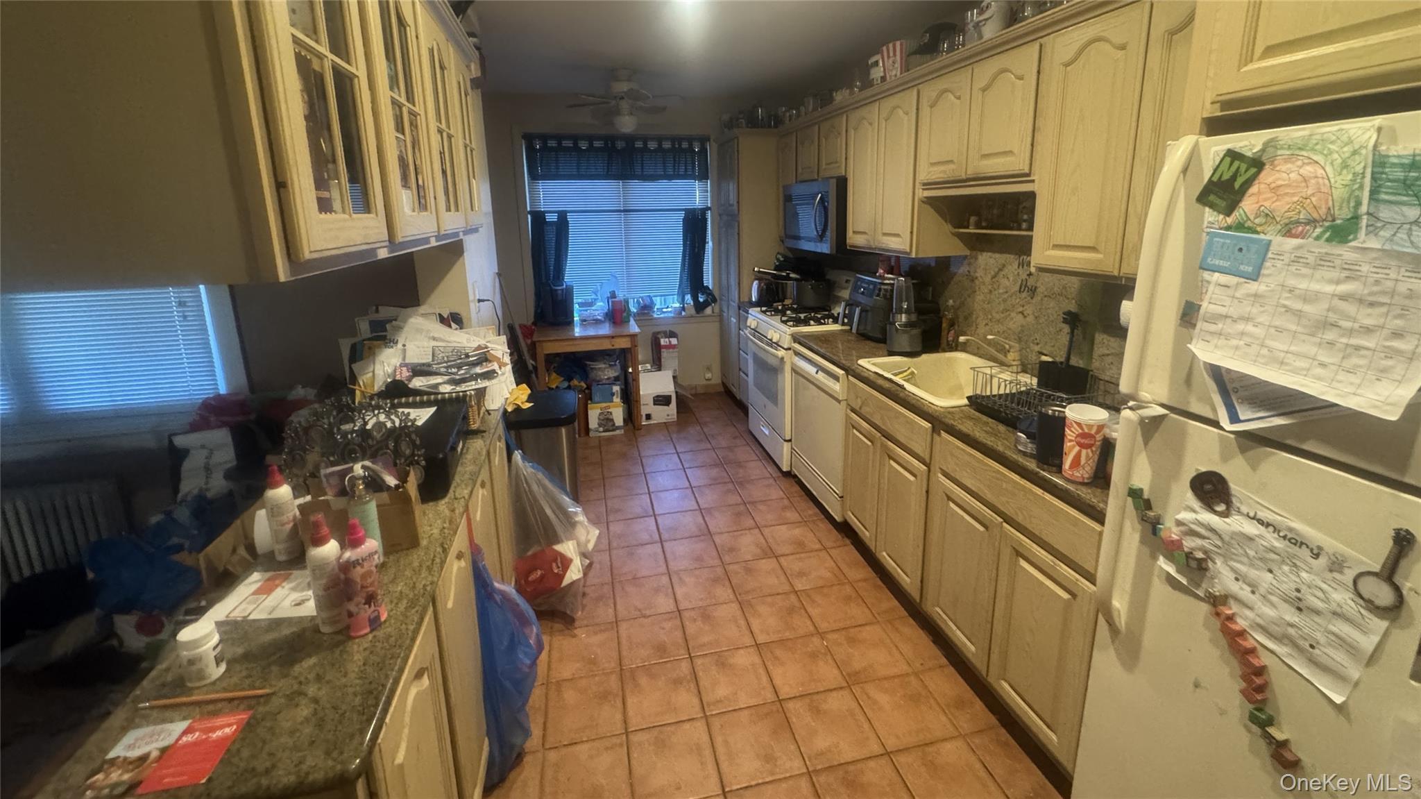 Single Family 82nd  Queens, NY 11379, MLS-962422-5