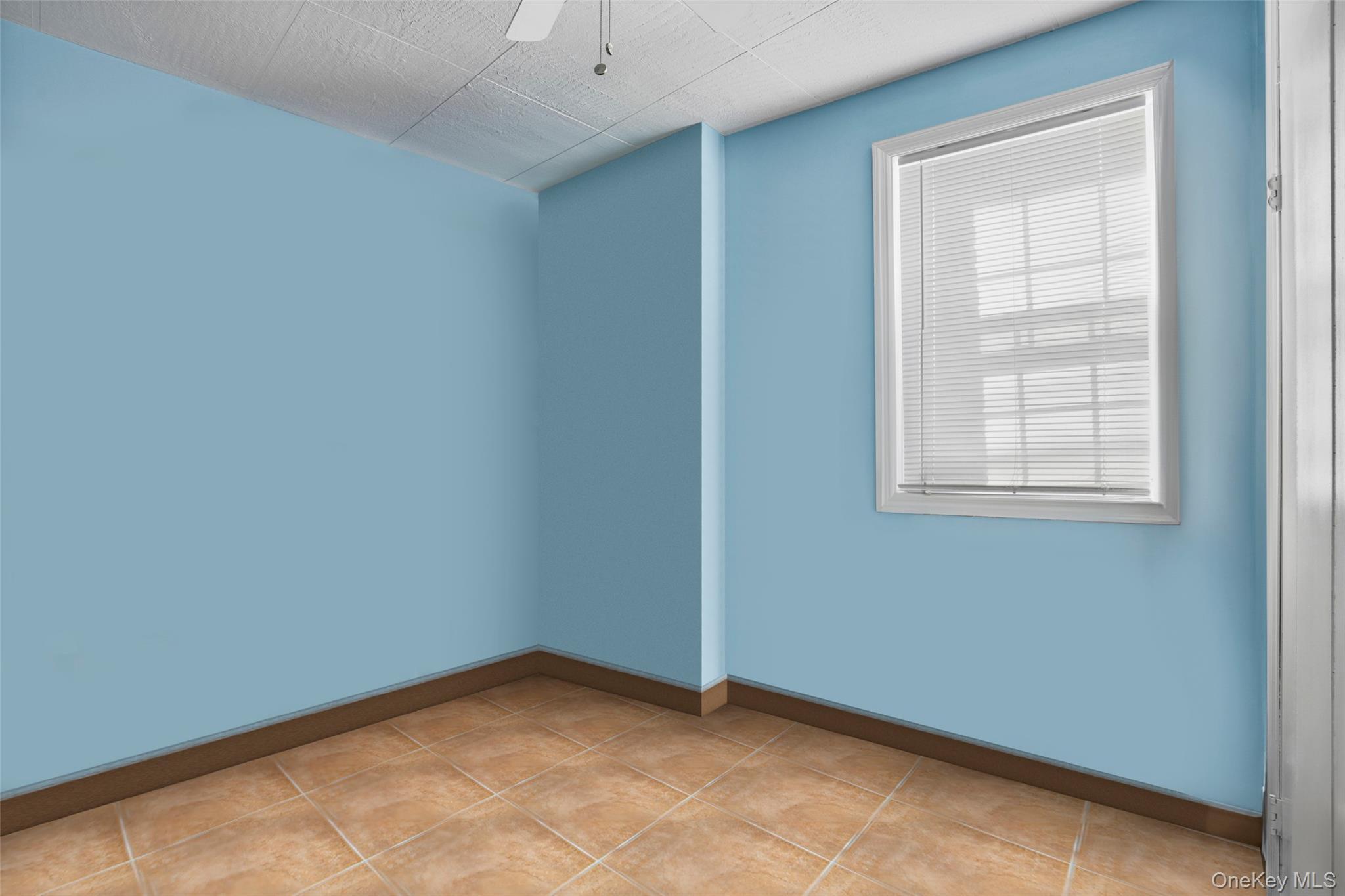 Single Family Baisley  Bronx, NY 10461, MLS-962585-19