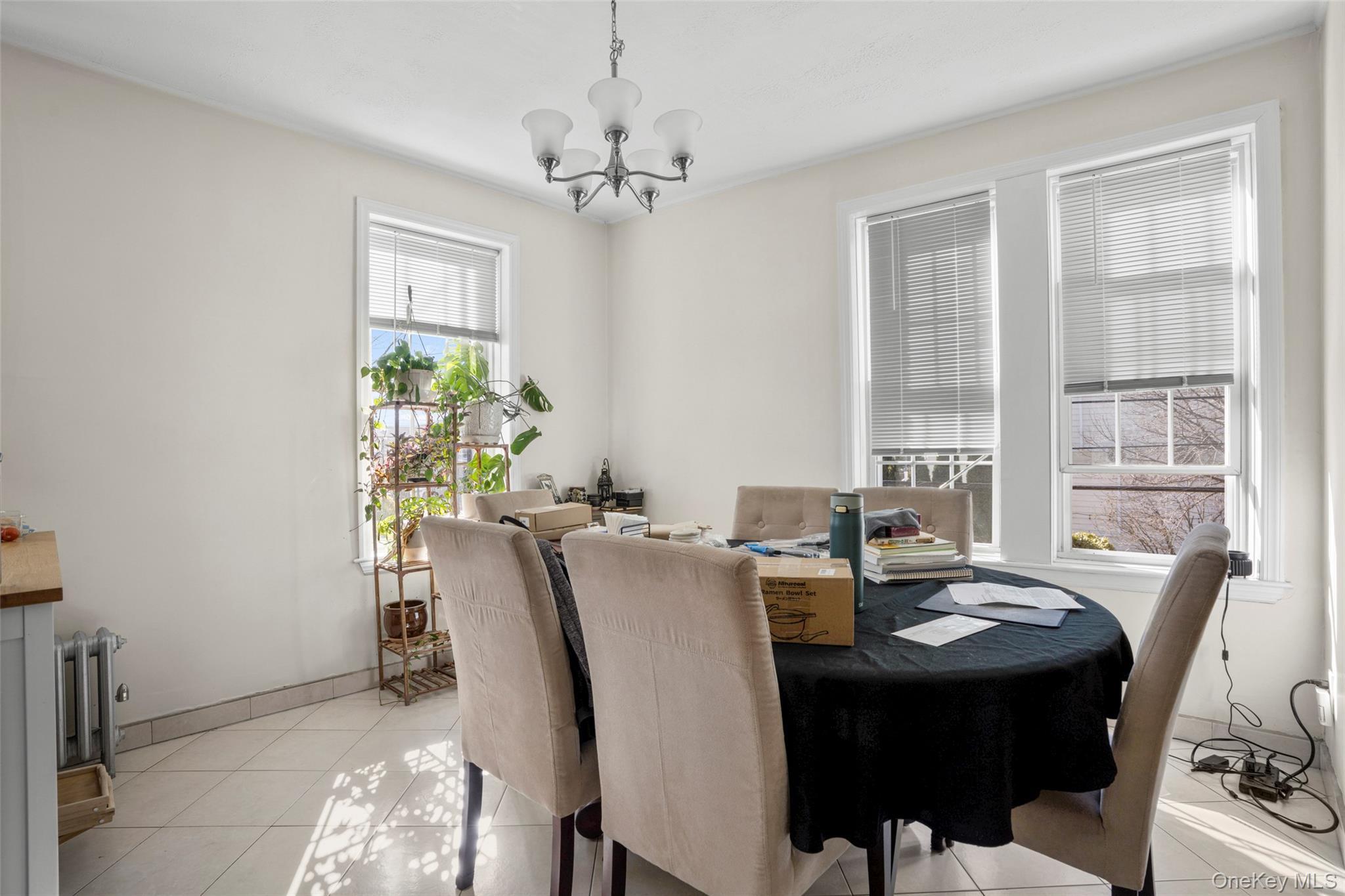 Single Family Baisley  Bronx, NY 10461, MLS-962585-9