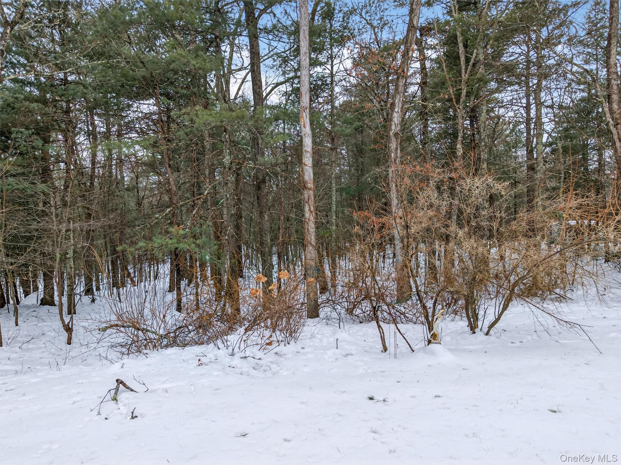 Single Family Old Forestburg  Orange County, NY 12780, MLS-962644-38