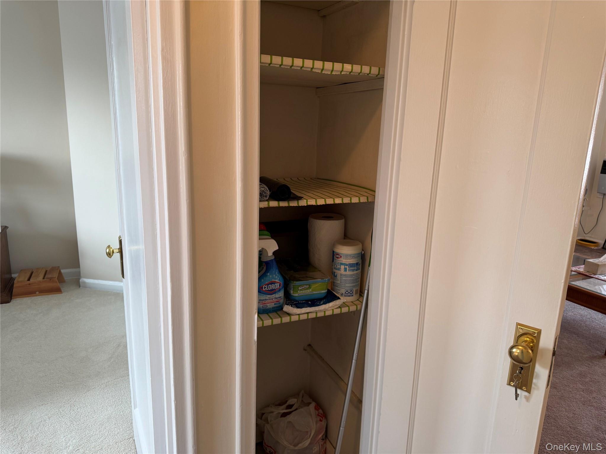 Coop Crocheron  Queens, NY 11358, MLS-962796-22