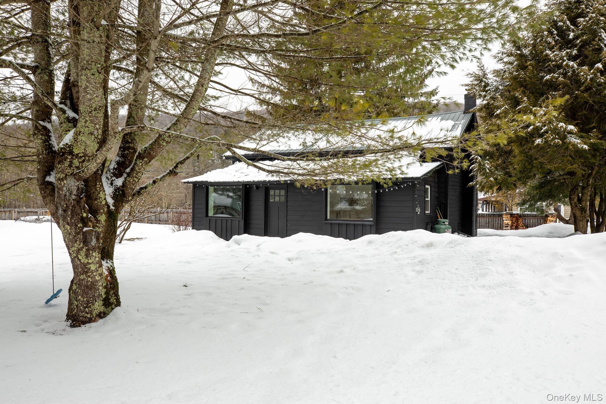 Single Family Denning  Ulster County, NY 12725, MLS-962861-36