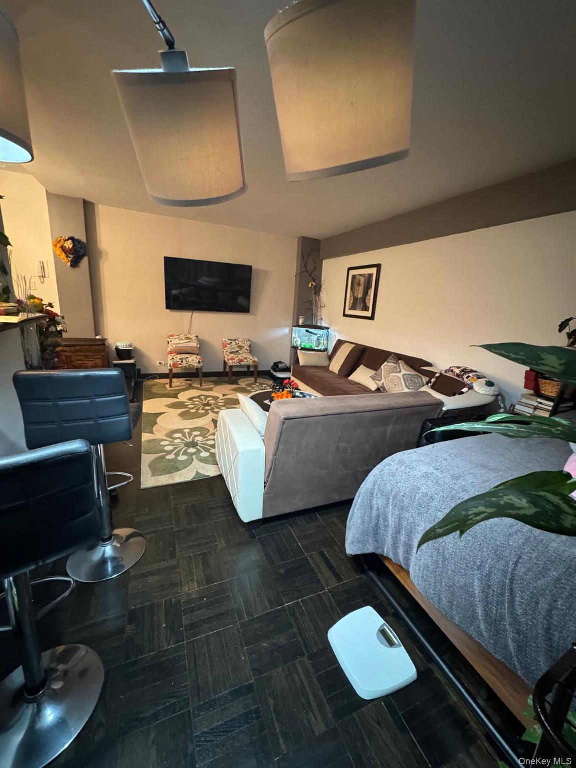 Coop 64  Queens, NY 11374, MLS-963074-2