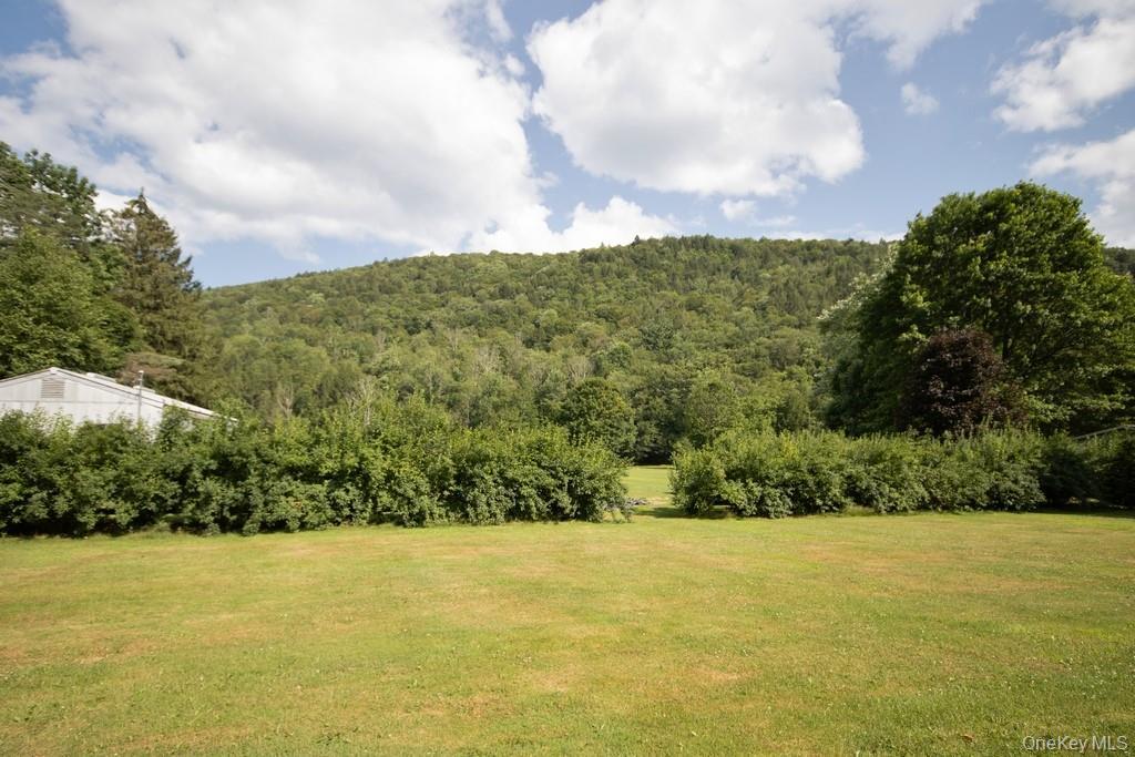 Single Family Rockland  Sullivan County, NY 12776, MLS-963138-36