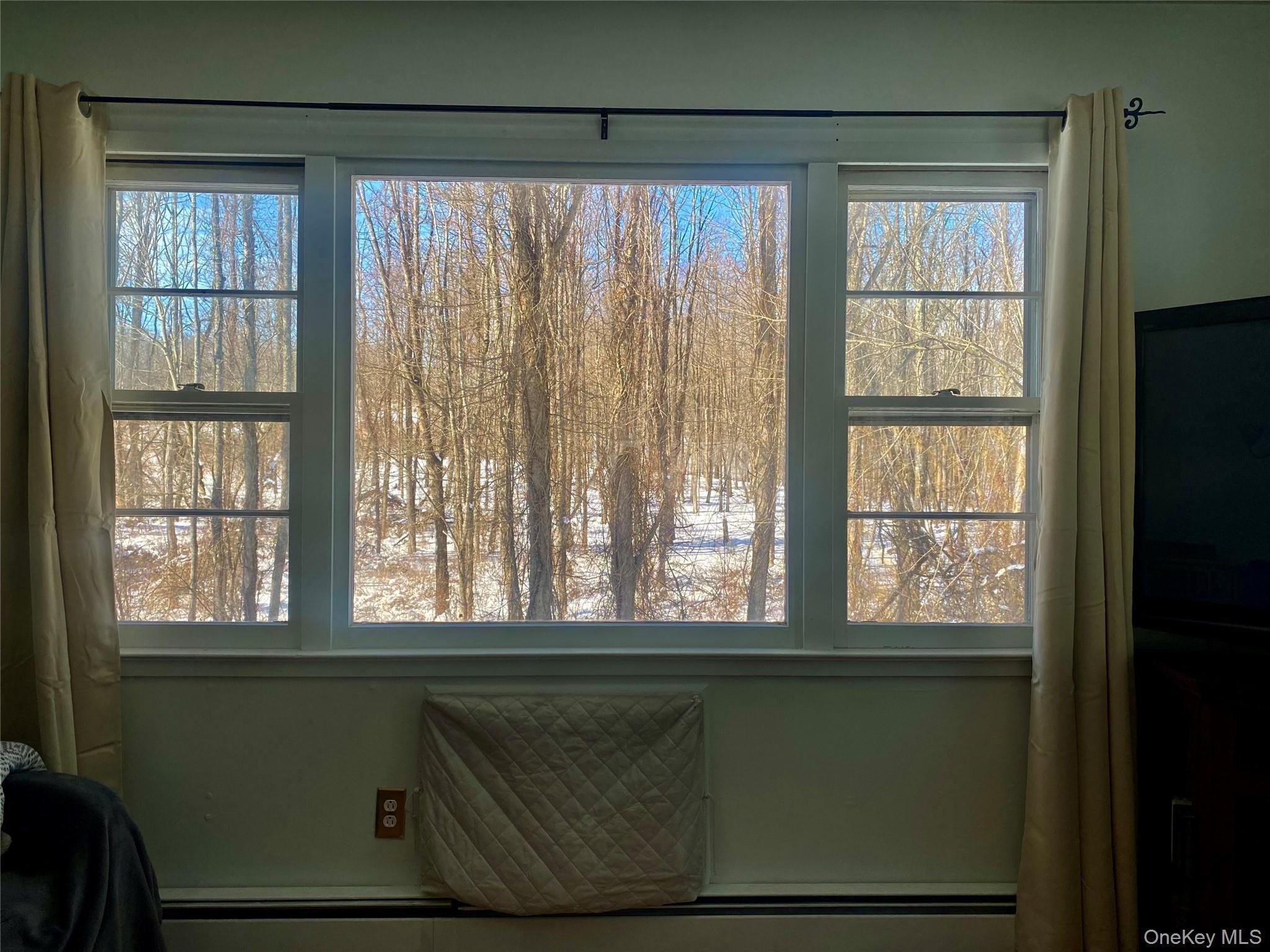 Single Family Downing  Dutchess County, NY 12569, MLS-963200-5