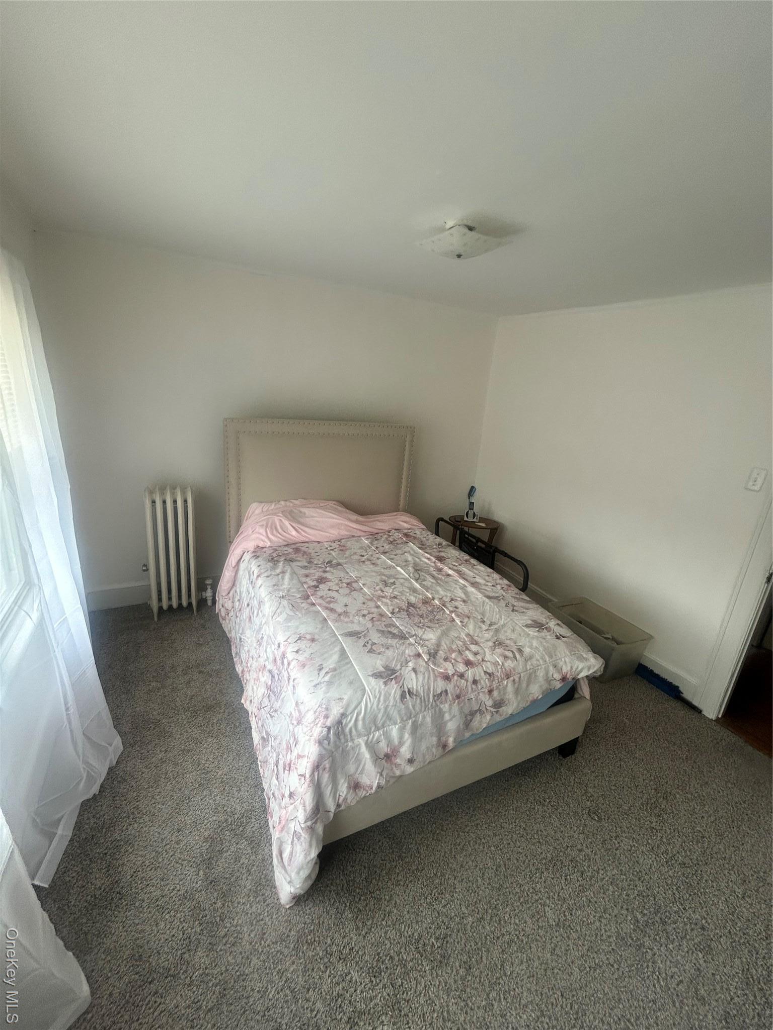 Single Family 28th  Queens, NY 11354, MLS-963233-2