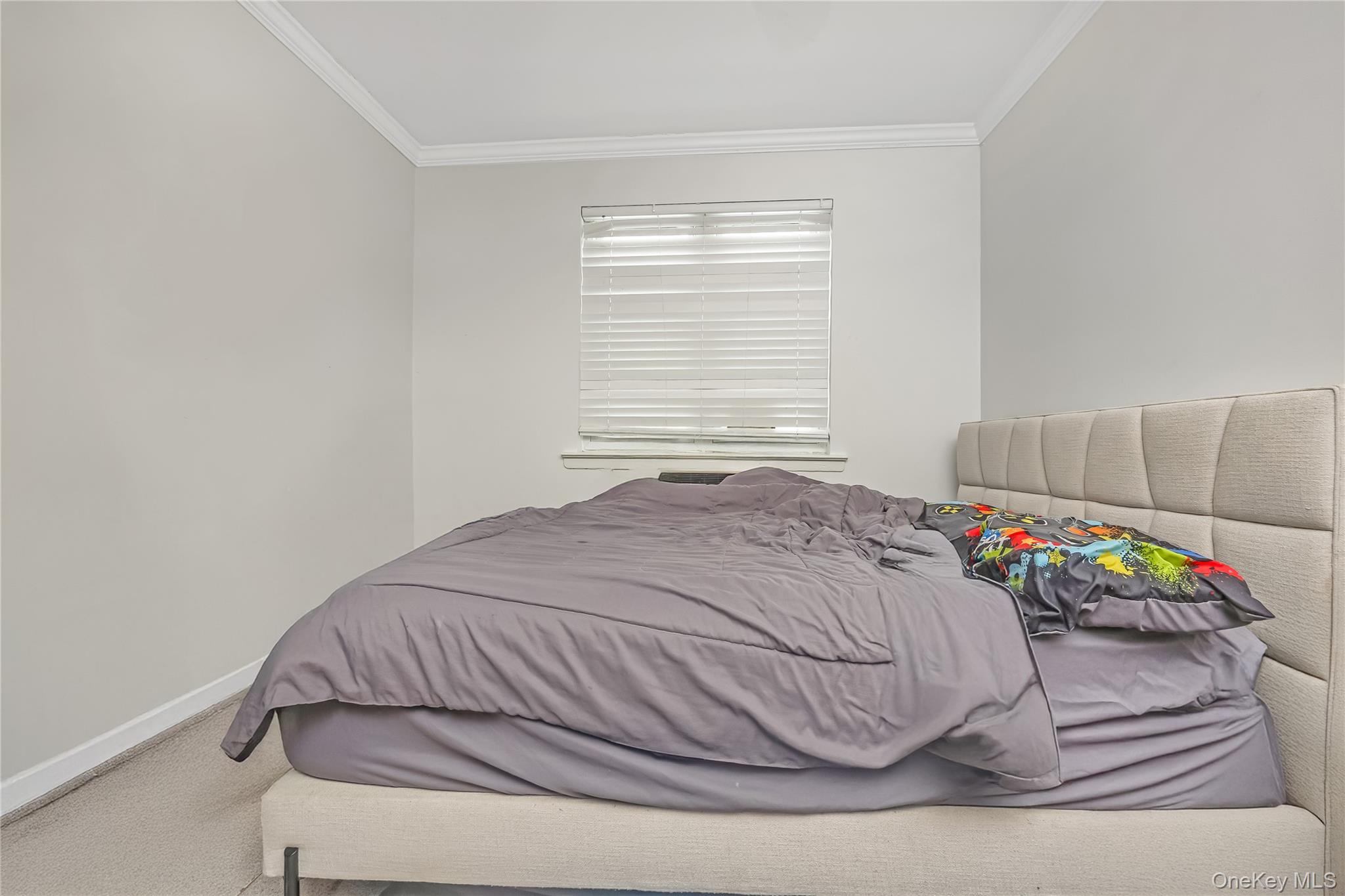 Single Family 58th Queens, NY 11378, MLS-963291-17