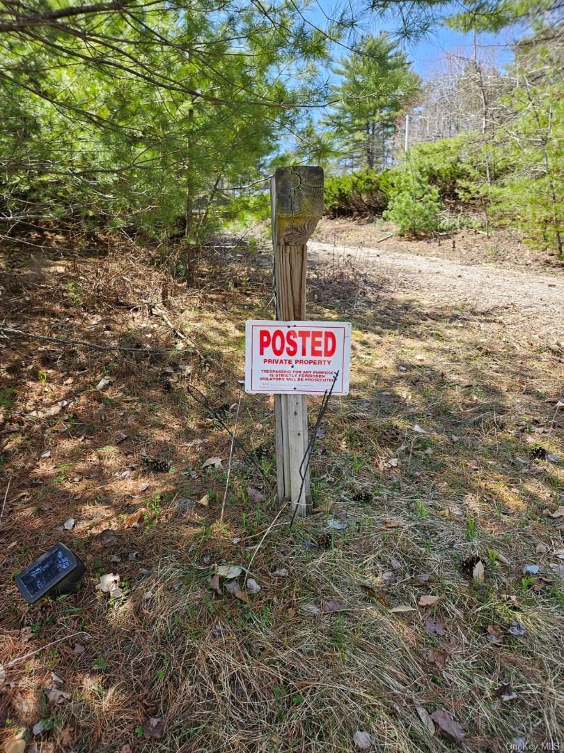 Single Family Park  Out Of Area, NY 12843, MLS-963305-5