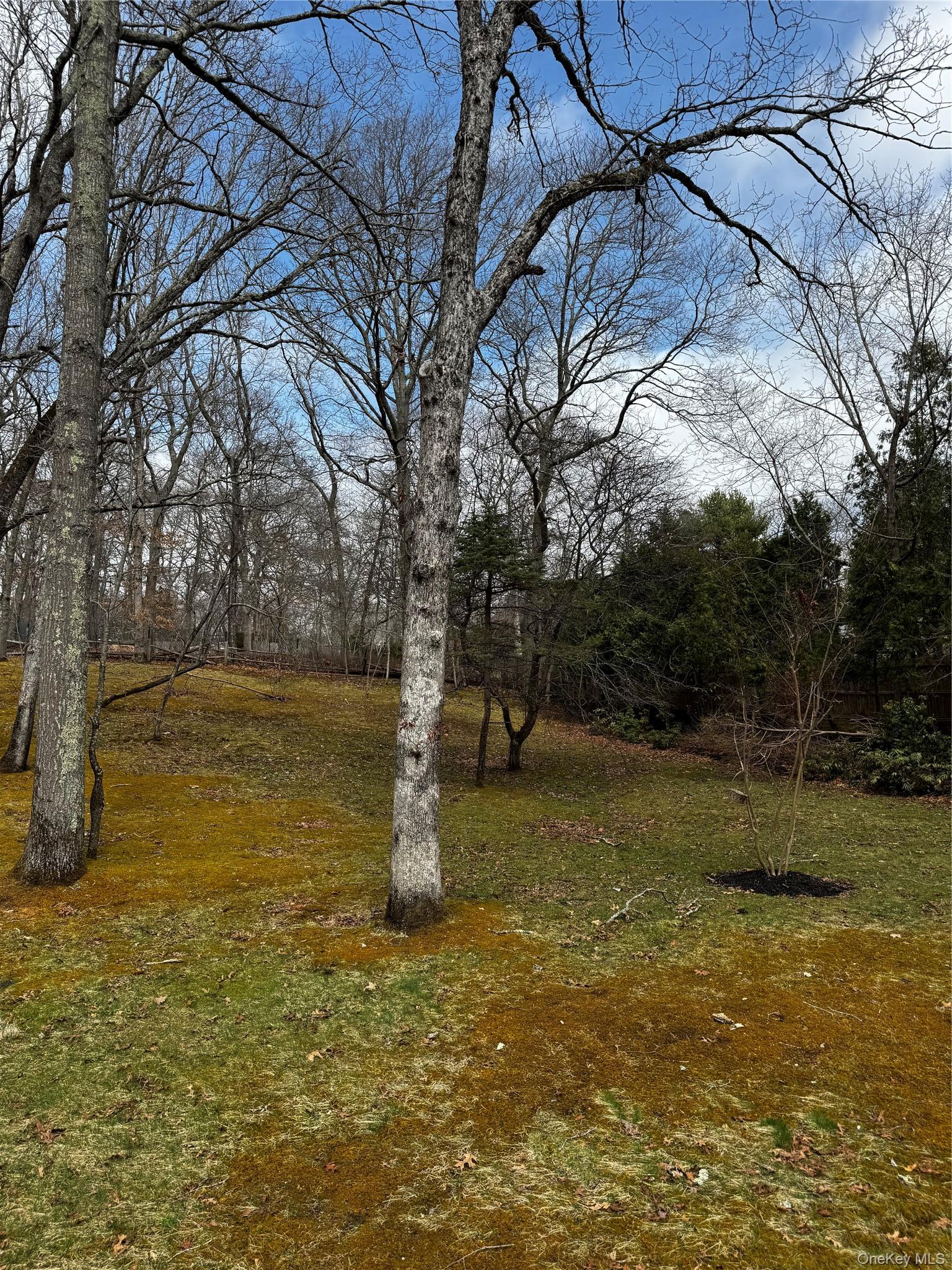 Single Family Mill  Suffolk County, NY 11949, MLS-963334-23