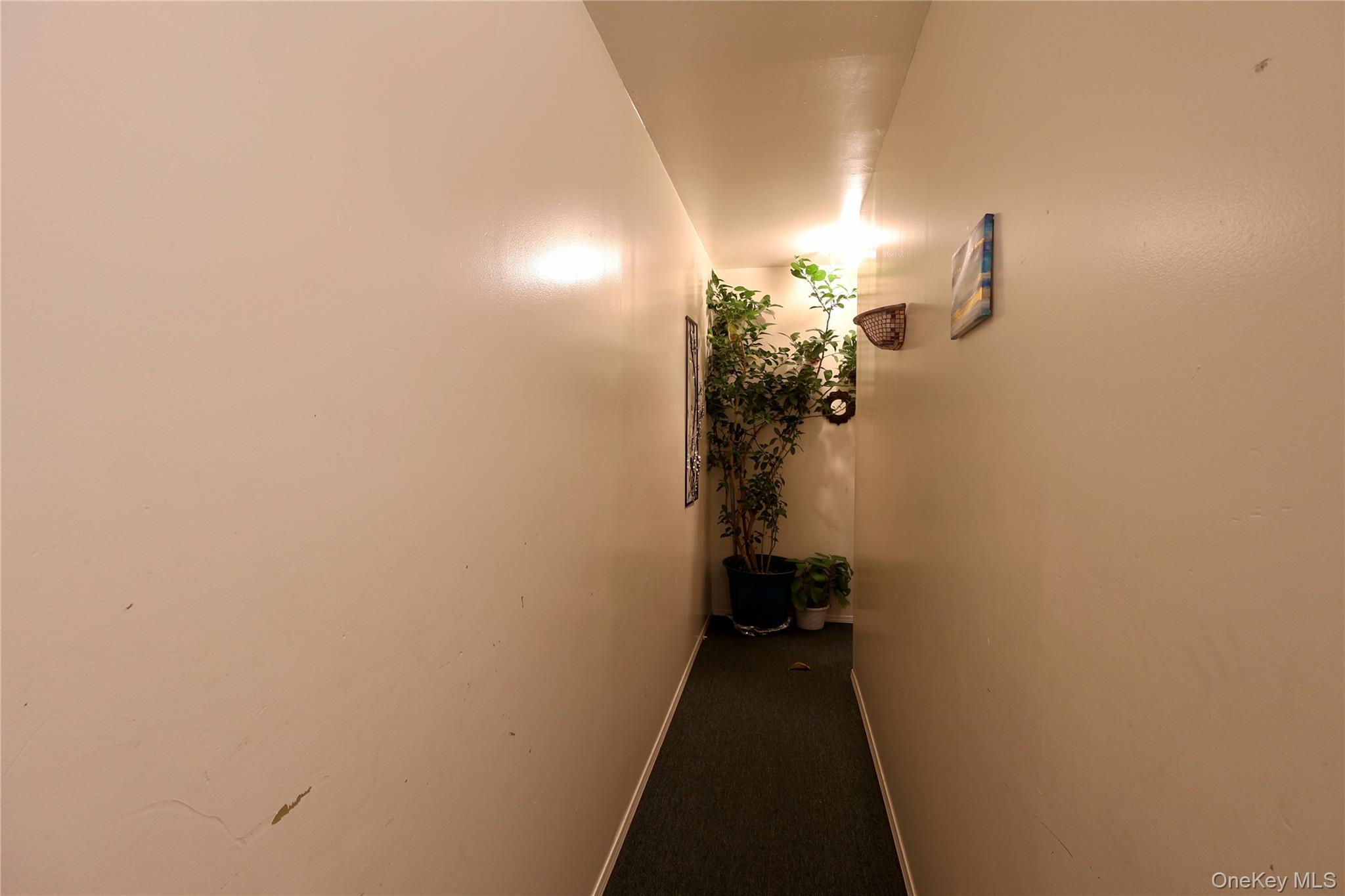 Single Family 97th  Queens, NY 11419, MLS-963385-6