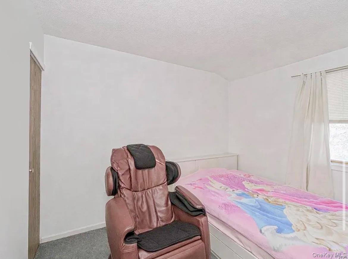 Single Family Ilyssa Way  Staten Island, NY 10312, MLS-963388-10