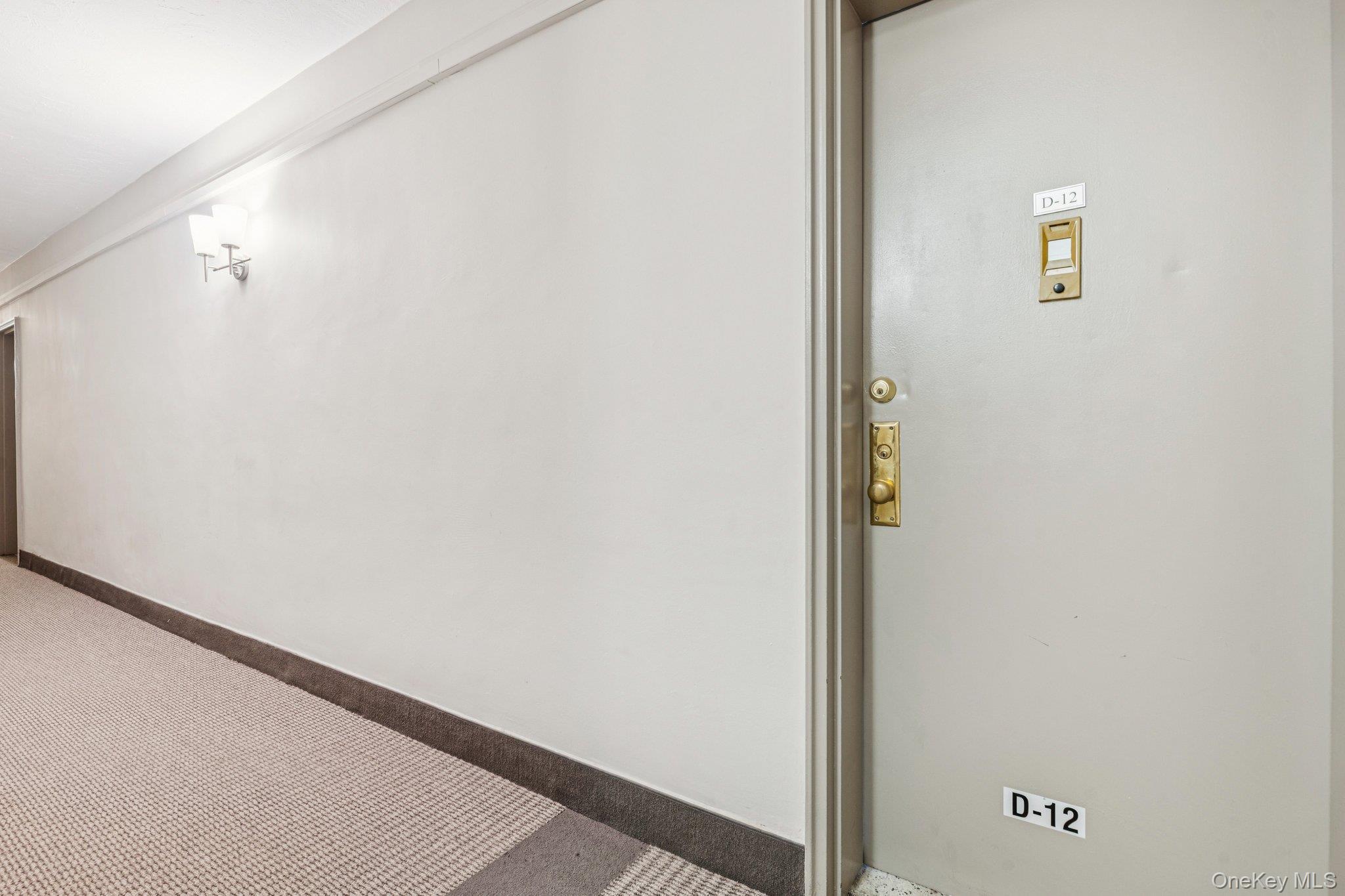 Coop Horton  Nassau County, NY 11501, MLS-963391-11