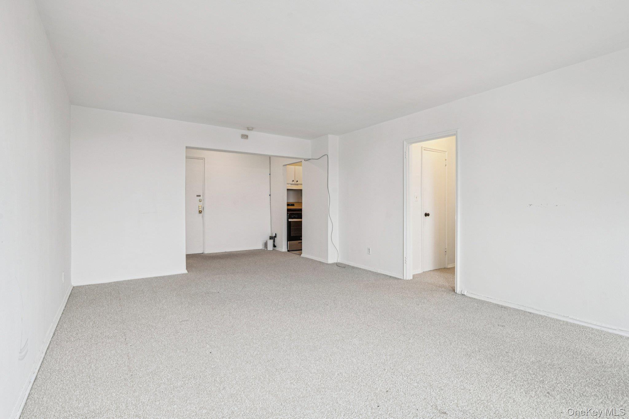 Coop Horton  Nassau County, NY 11501, MLS-963391-14