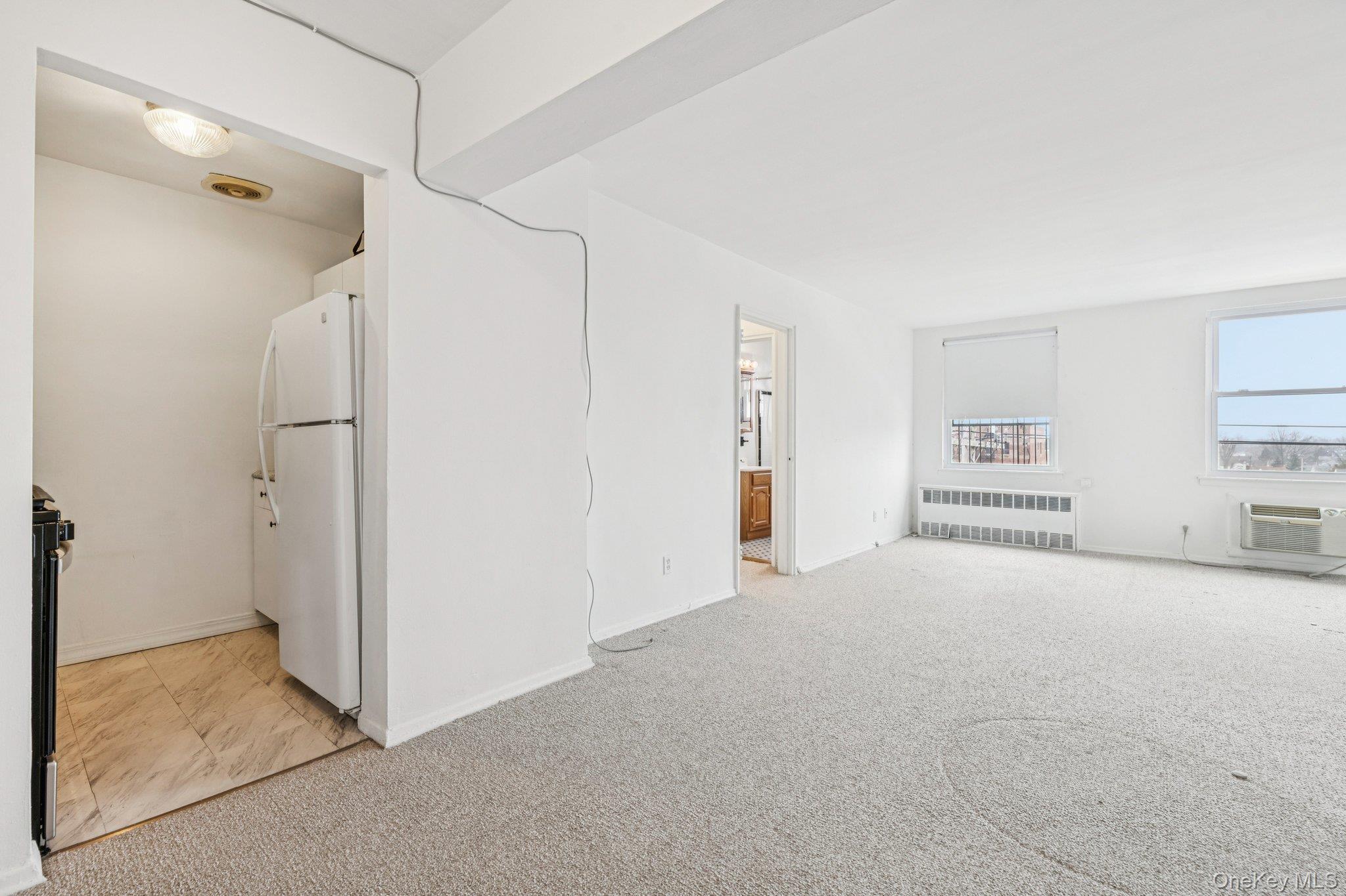 Coop Horton  Nassau County, NY 11501, MLS-963391-15